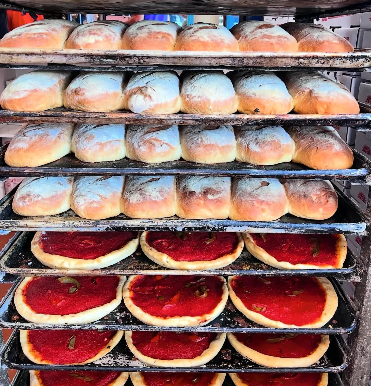 Freshly baked Italian focaccia and pizza bases on trays