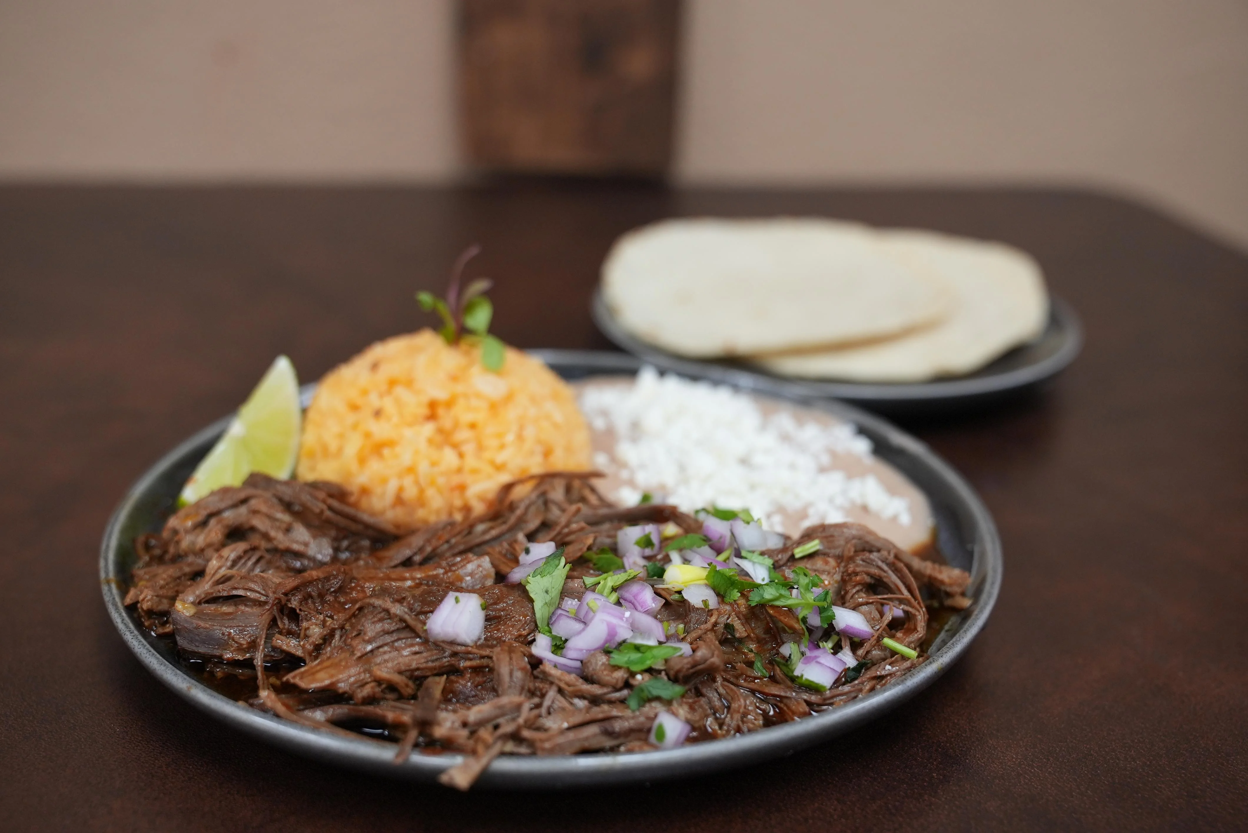 Birria  Combo