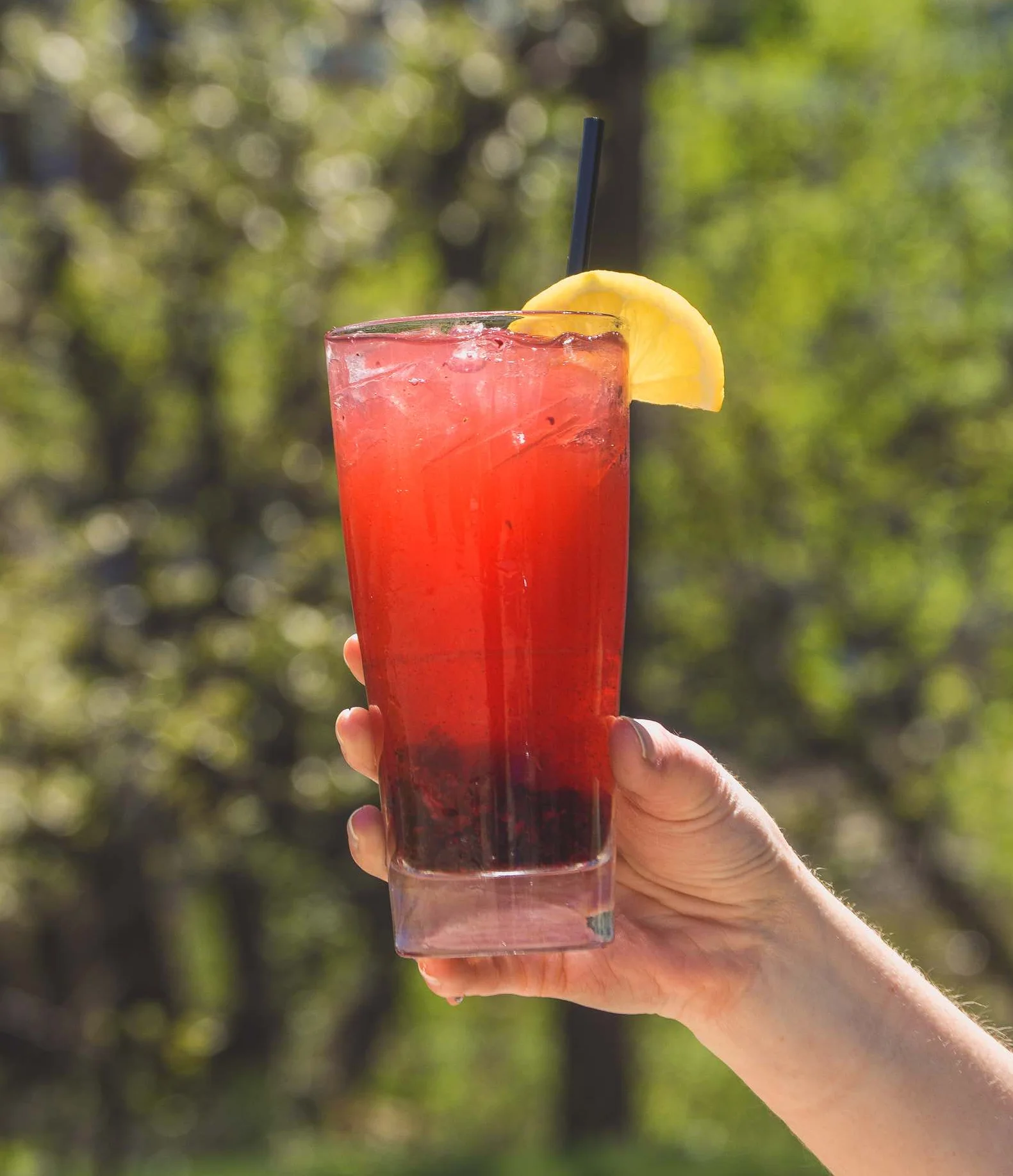 Bramble cocktail with a lemon slice being held up in the sun with trees in the background