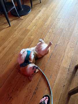 Photo from Ricky E.'s review