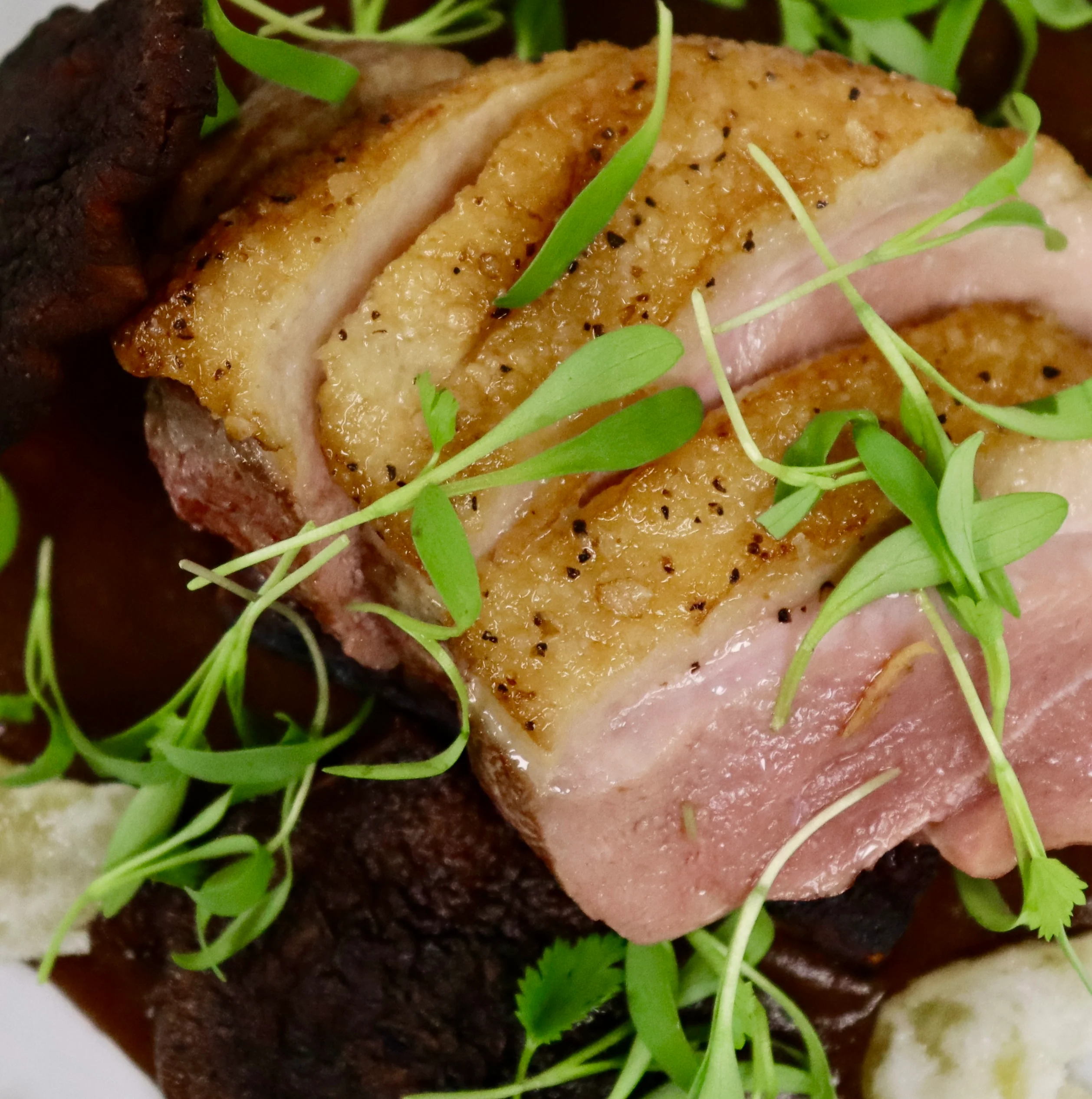 Crispy duck breast with microgreens and rich sauce