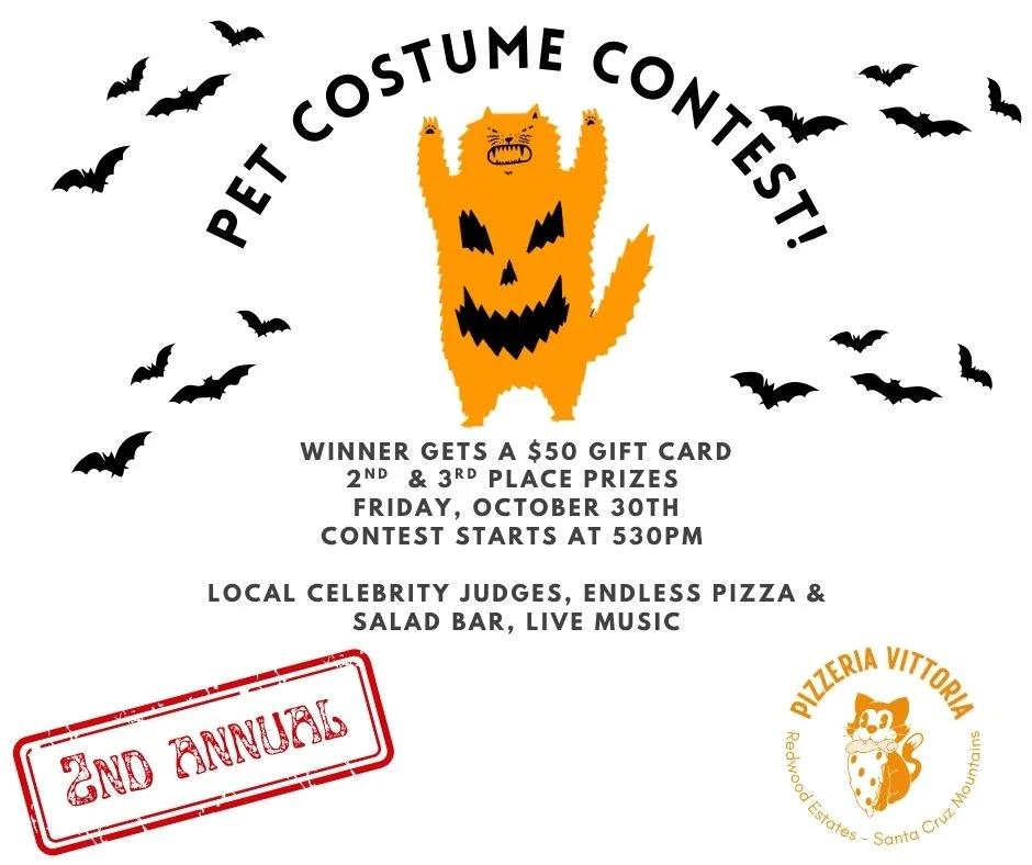 Halloween pet costume contest promotional poster with cartoon cat and bats
