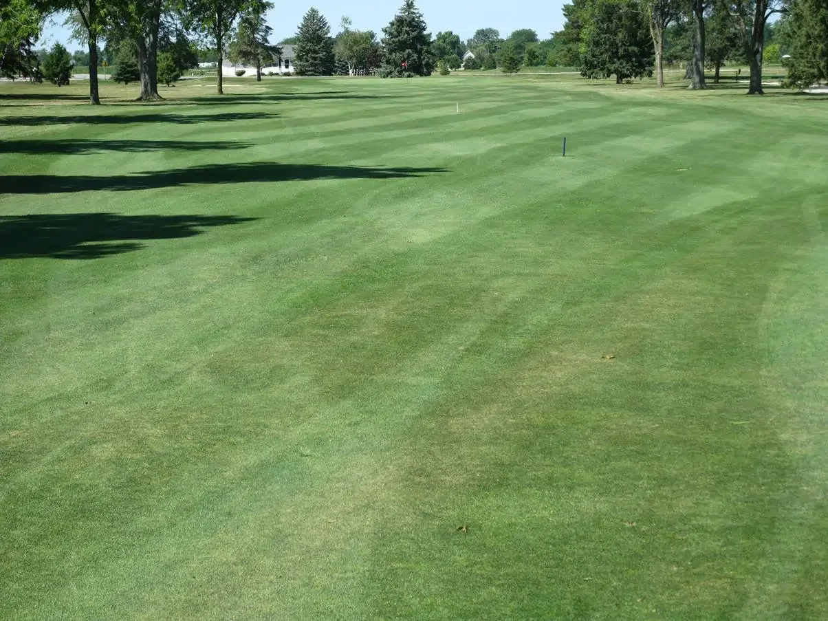Lush green golf course with manicured fairways