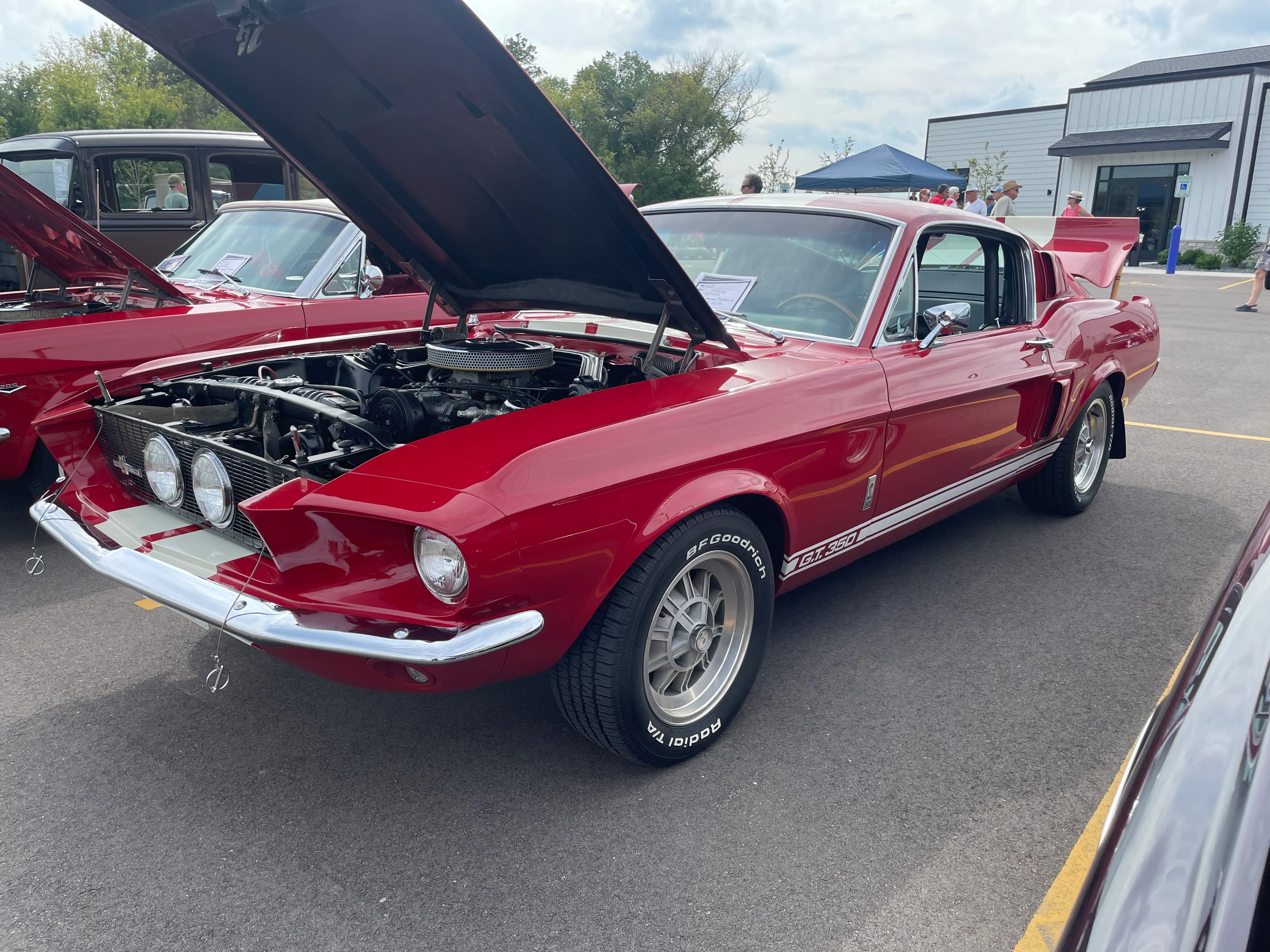 Classic red Ford Mustang GT350 at a car show