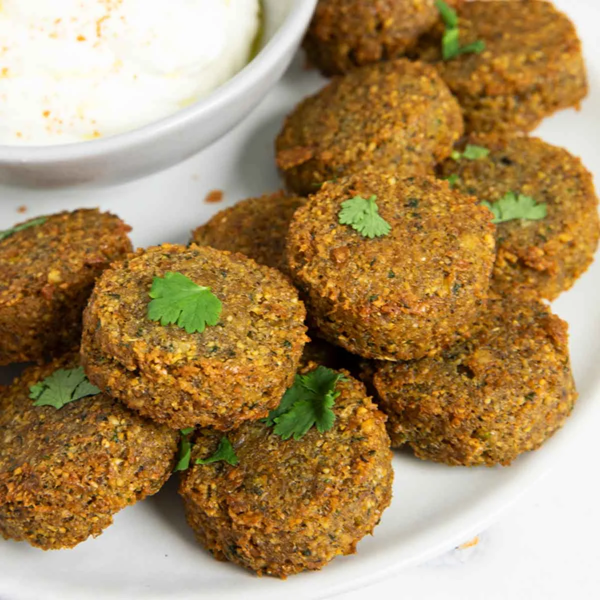 Plate of Mediterranean falafel served with yogurt dip