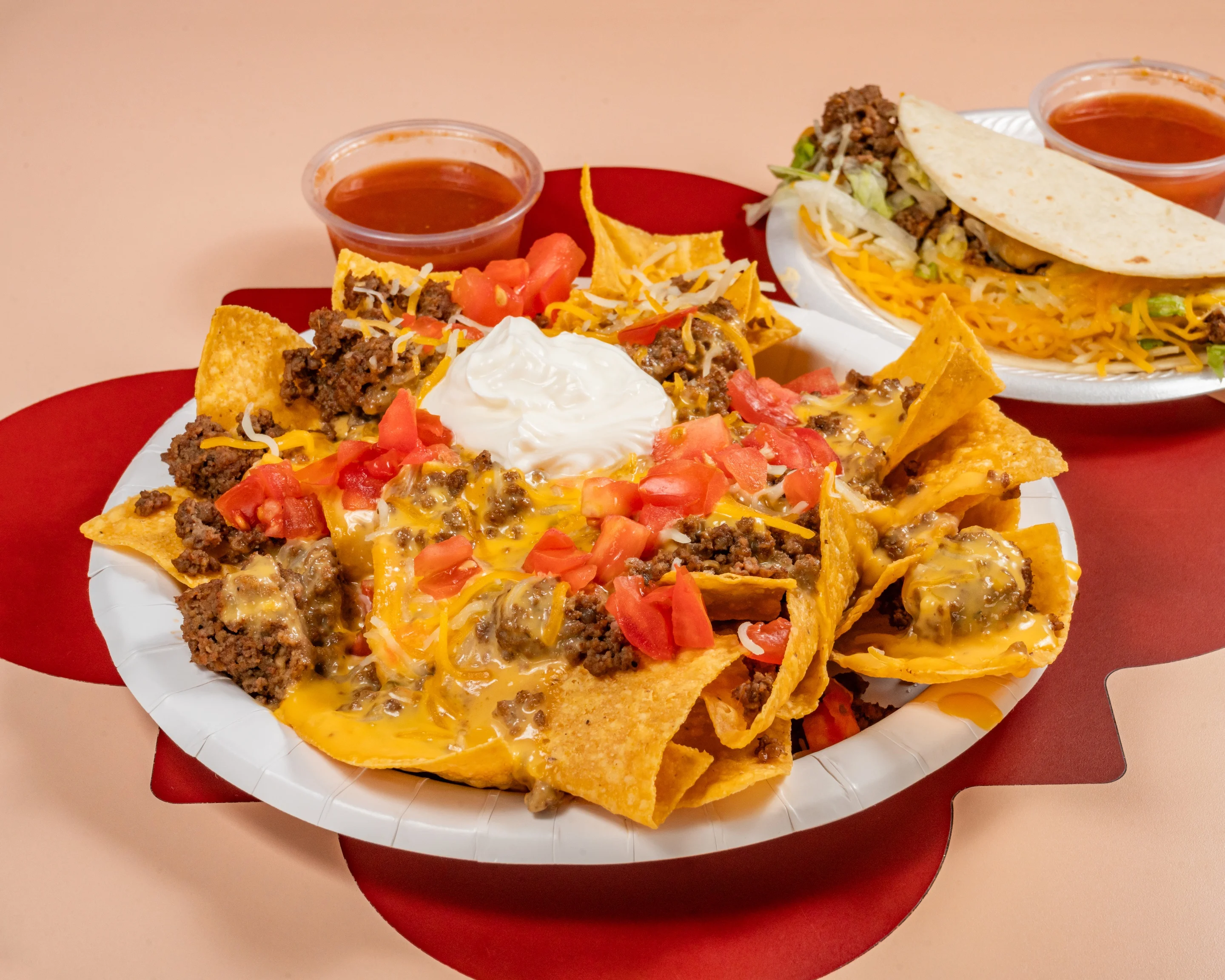 A plate of authentic nachos