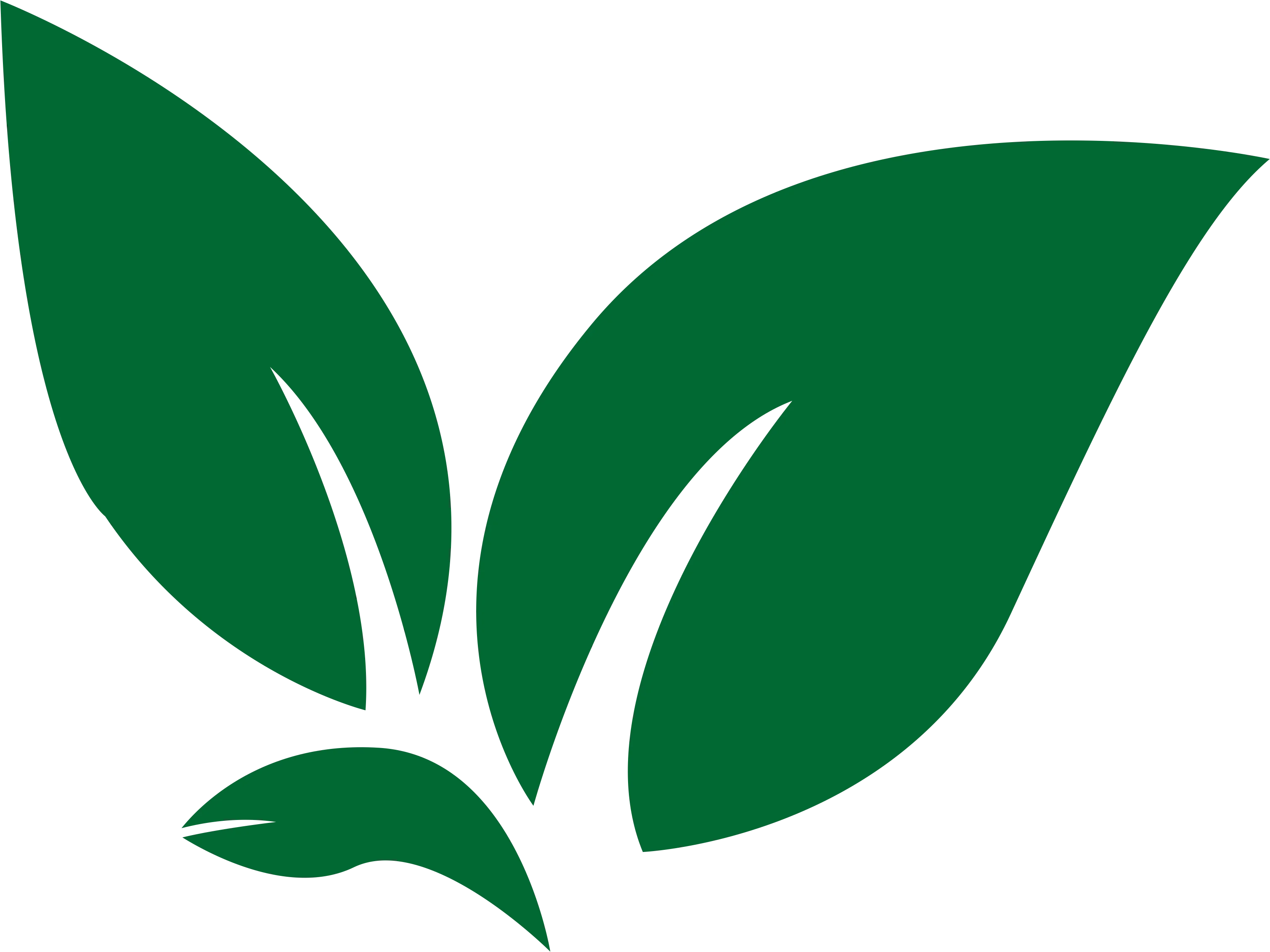 Green leaves symbolizing freshness and nature