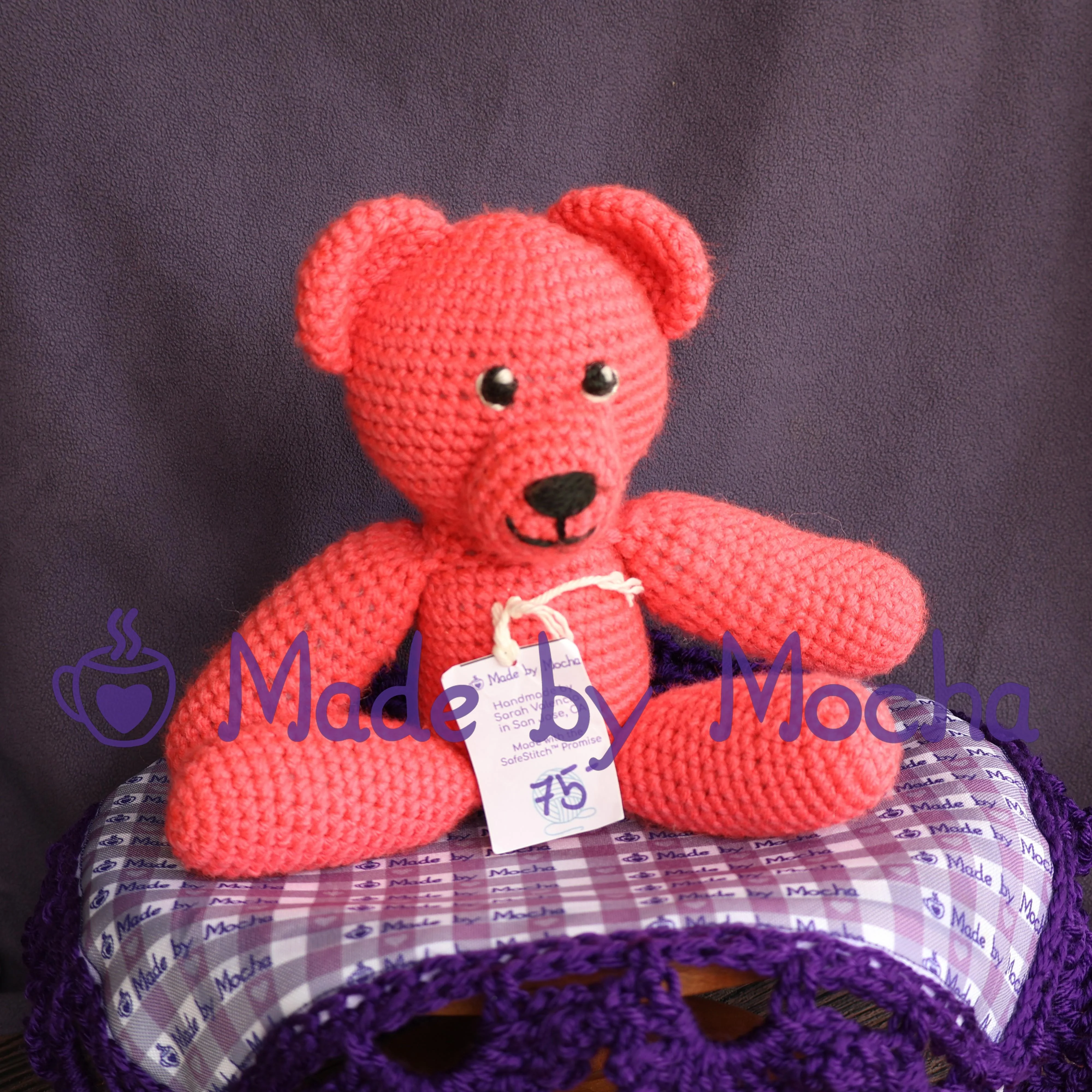 Bestie the Bear: Runway for Recovery