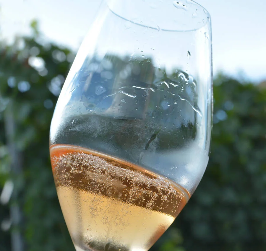 Sparkling wine at Violet. We have champagne, Prosecco, Cava, Pet-Nats and more.