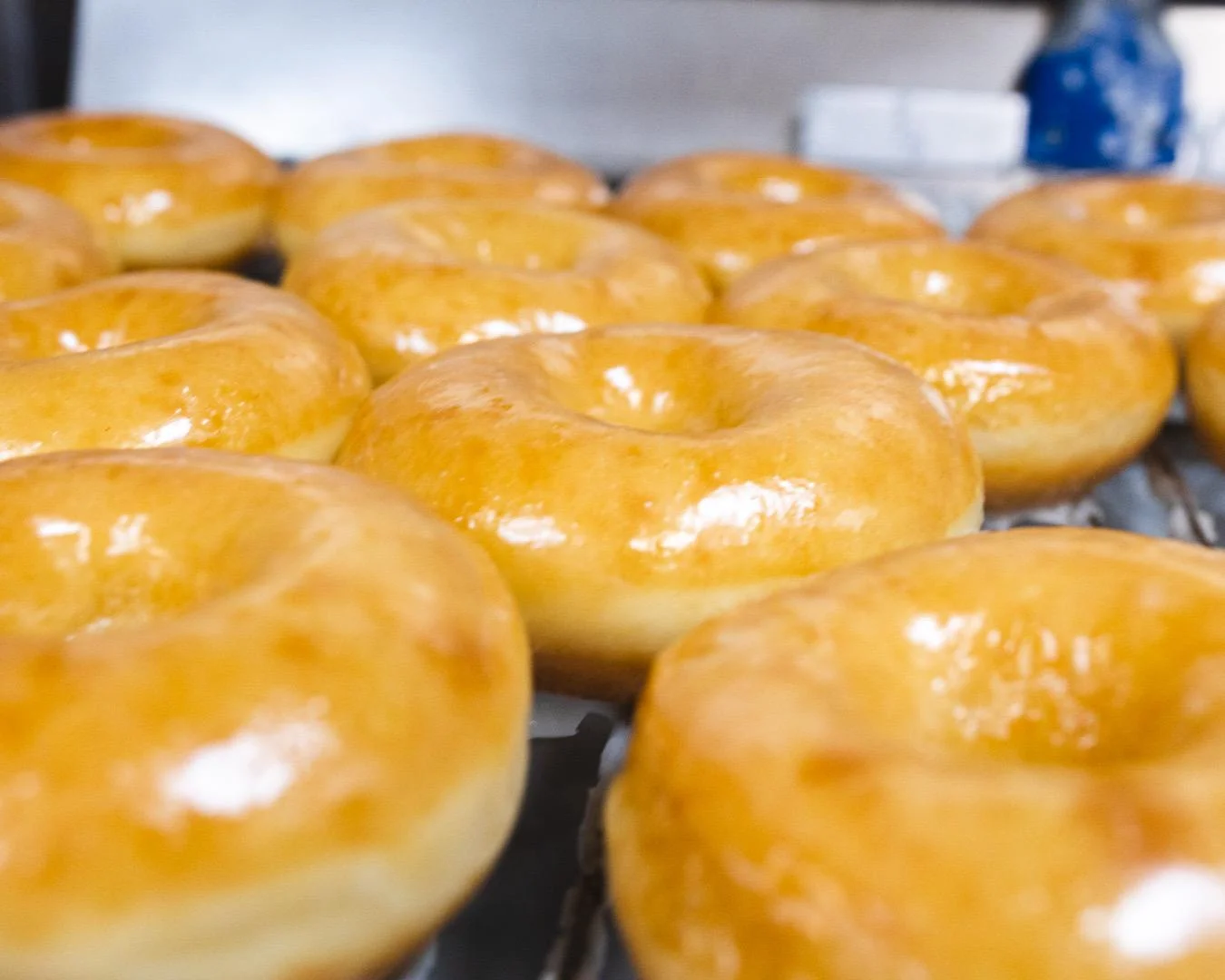 Glazed Donut