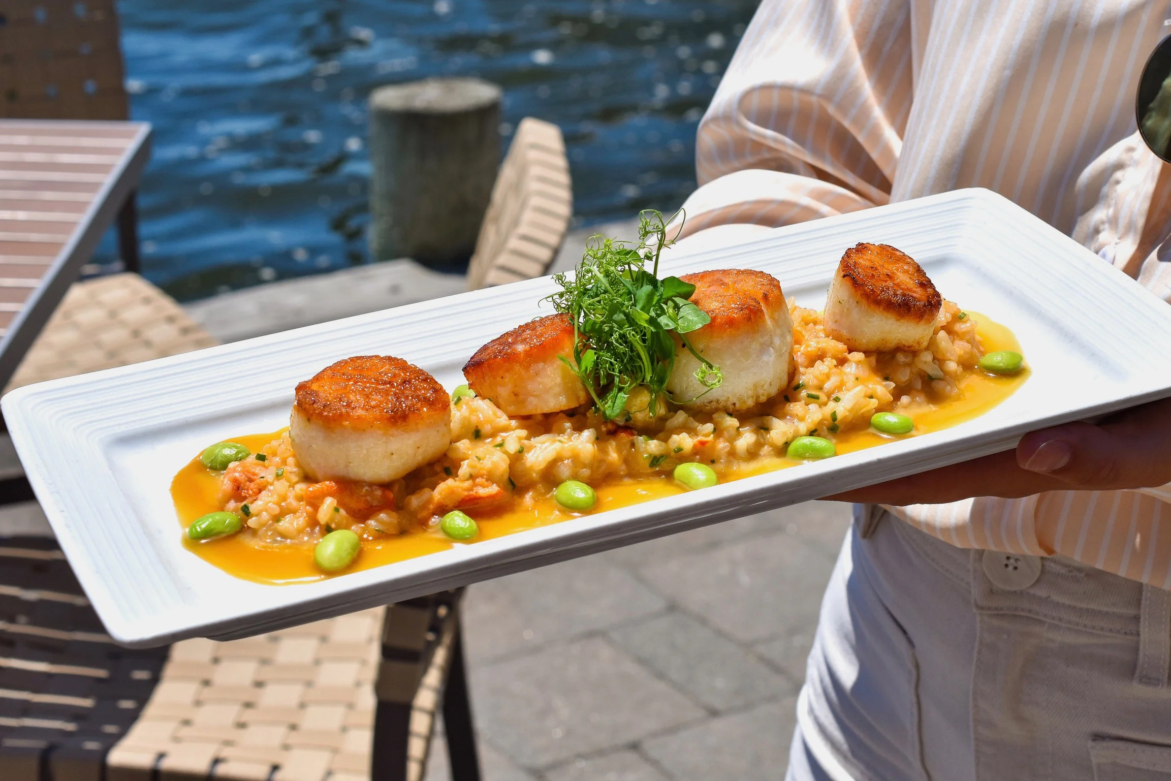 Seared scallops with risotto in a coastal restaurant setting