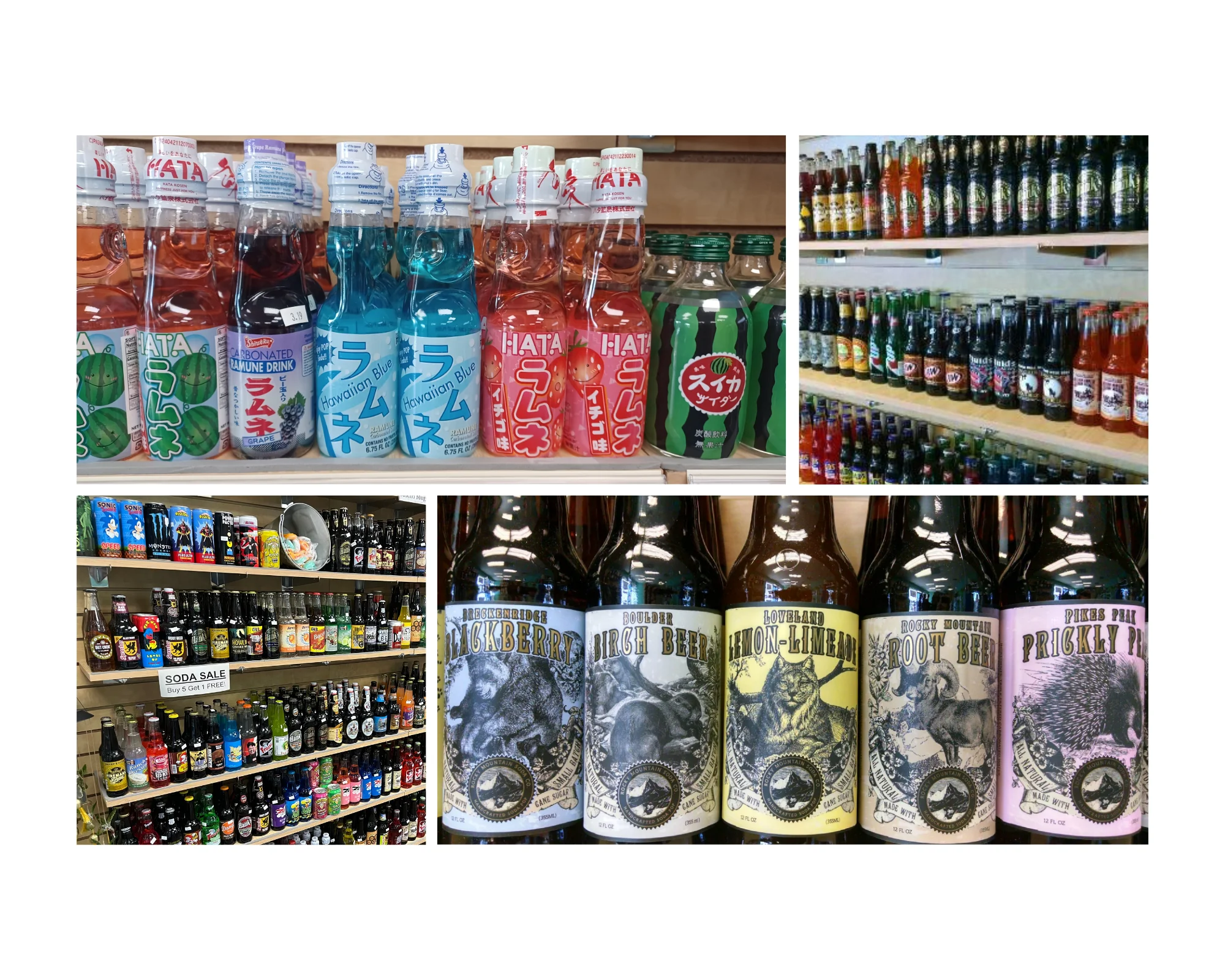 Retro Soda Collection