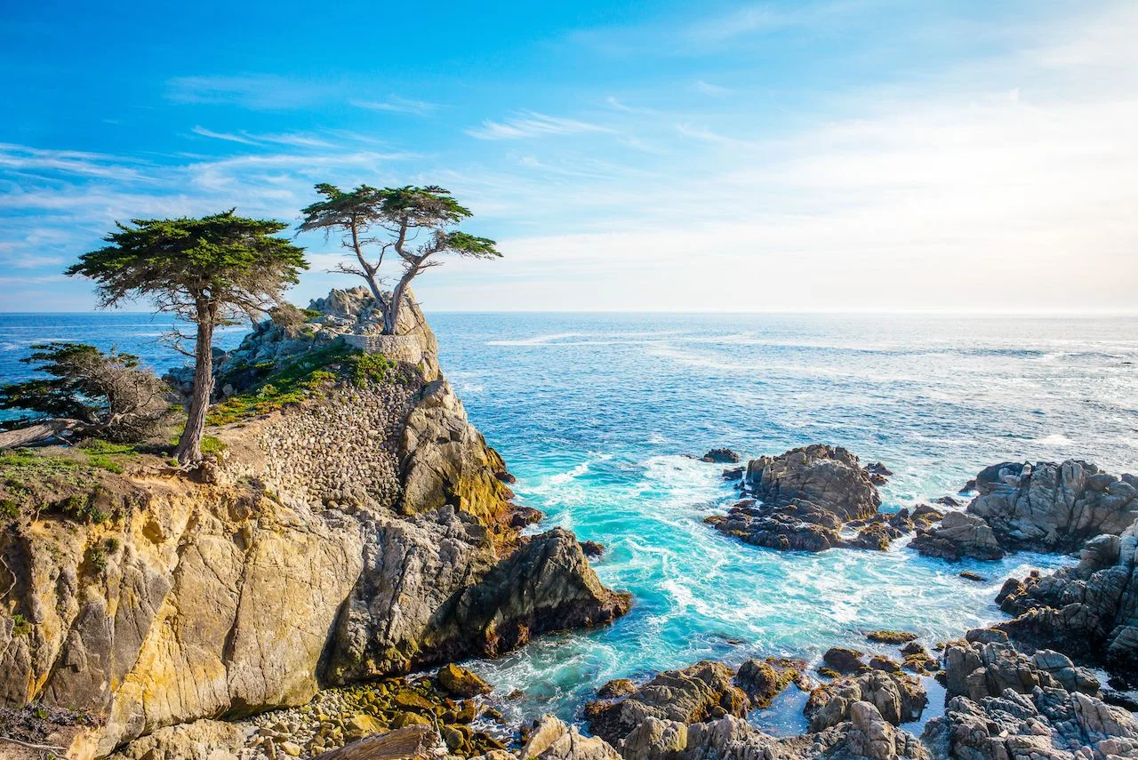 Scenic coastal view with rocky cliffs and trees by the ocean