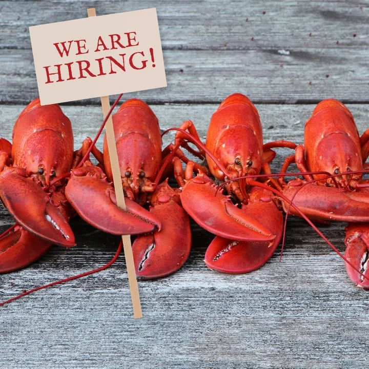 Lobsters with a sign reading 'We Are Hiring!' on a rustic wooden table