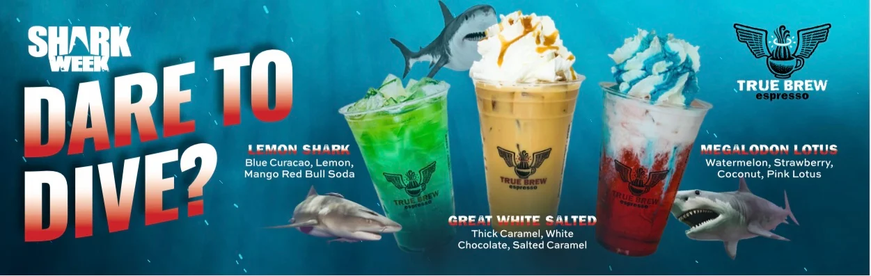 Promotional banner for Sky Fizz Protein drink with vibrant colors and graphics.