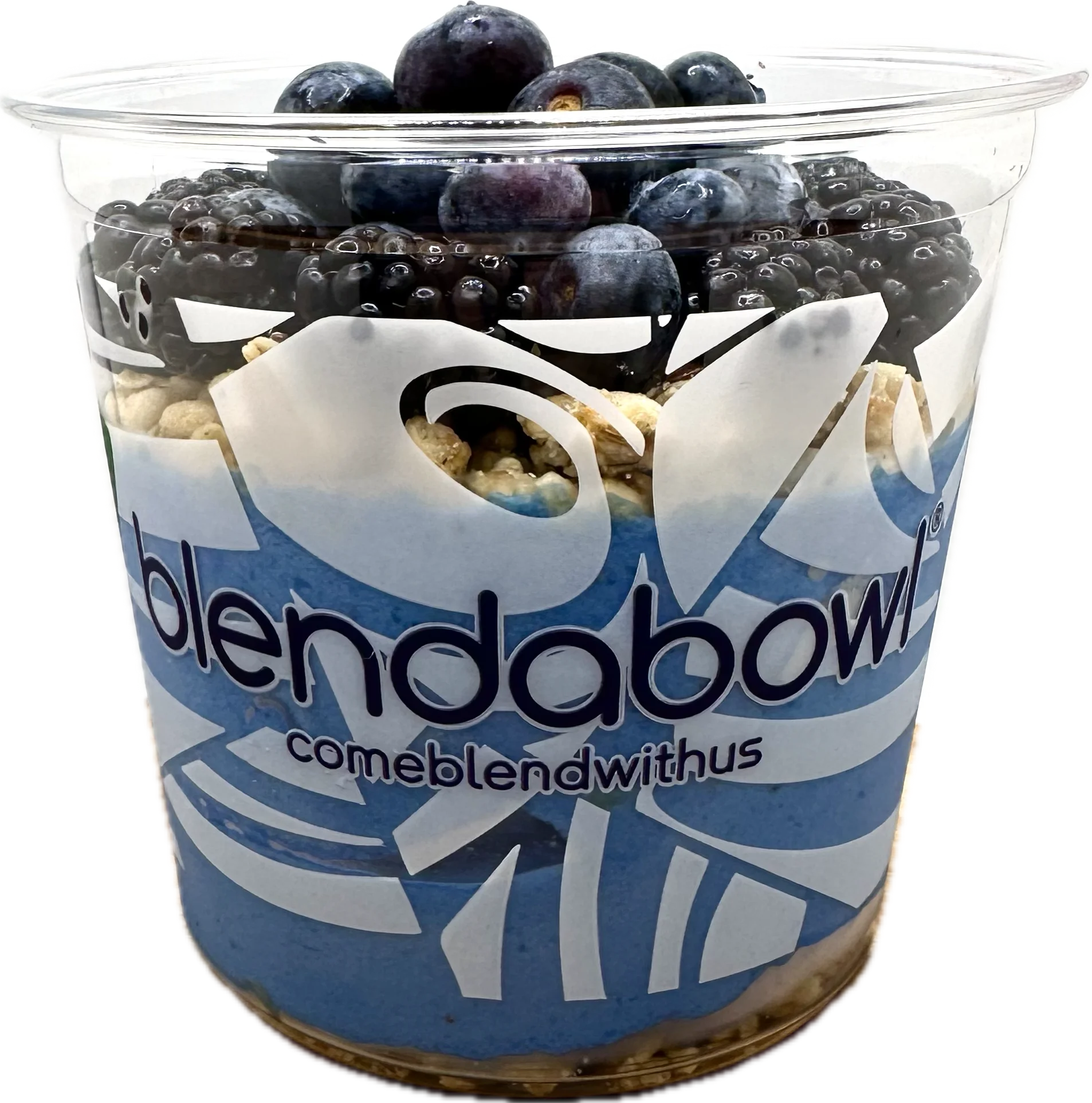 Smoothie bowl with a blue base, topped with fresh fruit