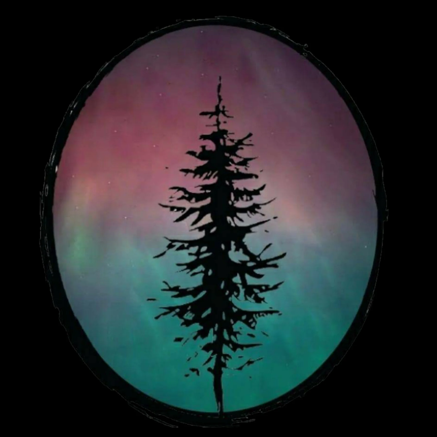 Silhouette of a pine tree against a colorful aurora background