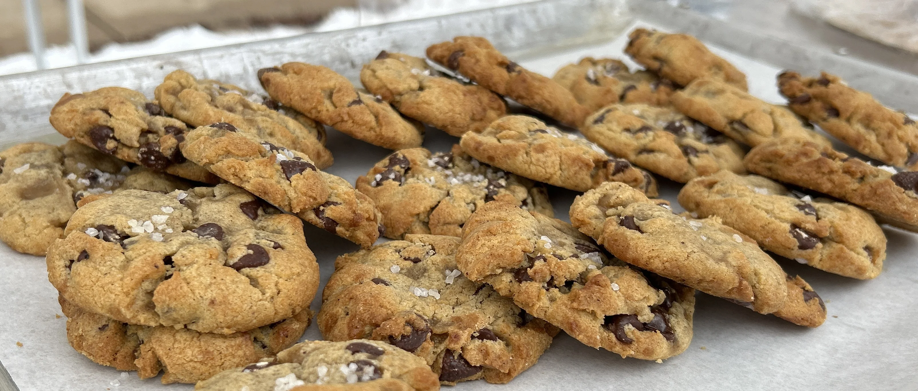 Freshly baked chocolate chip cookies on a tray