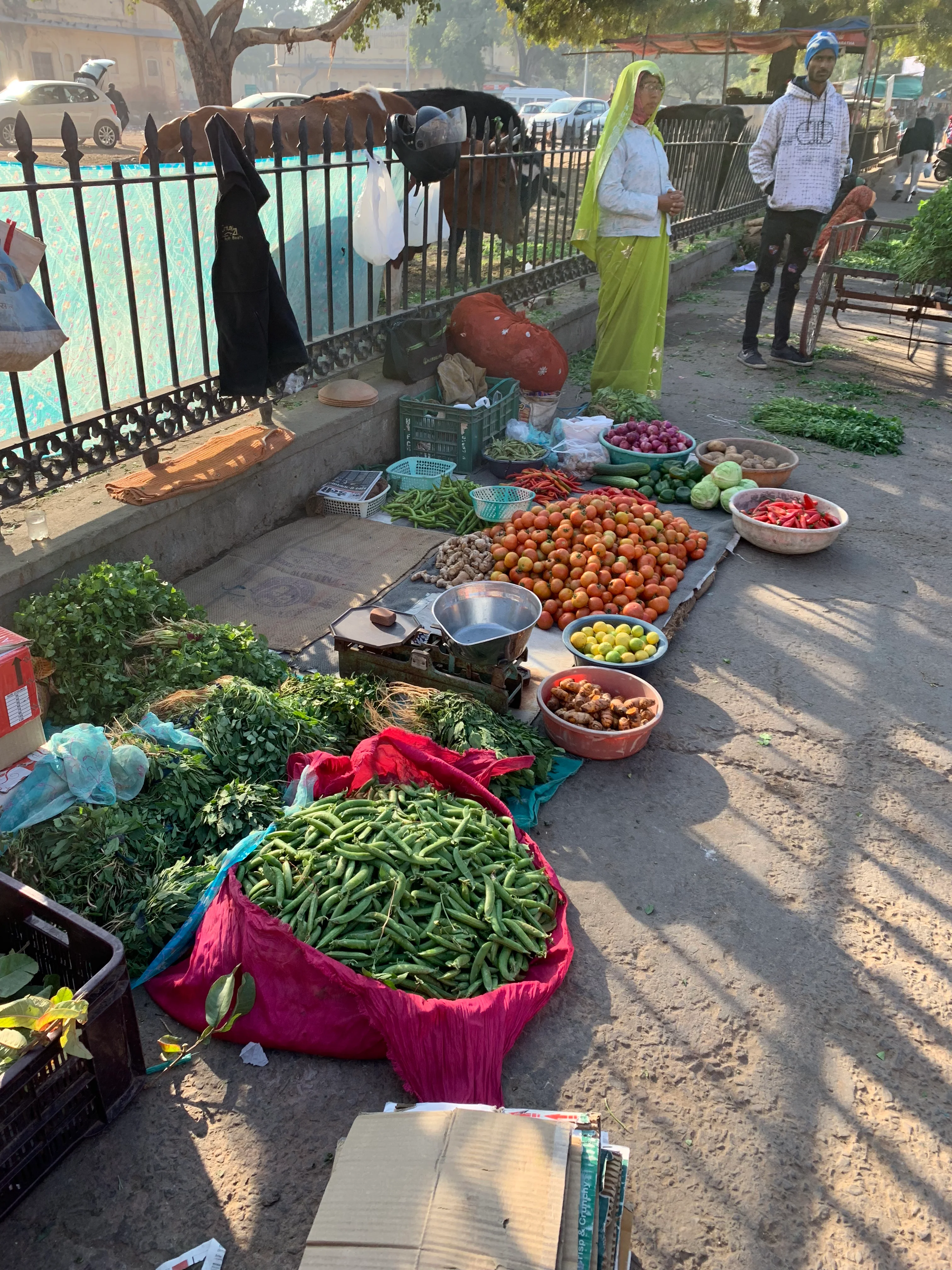 VEG VENDOR