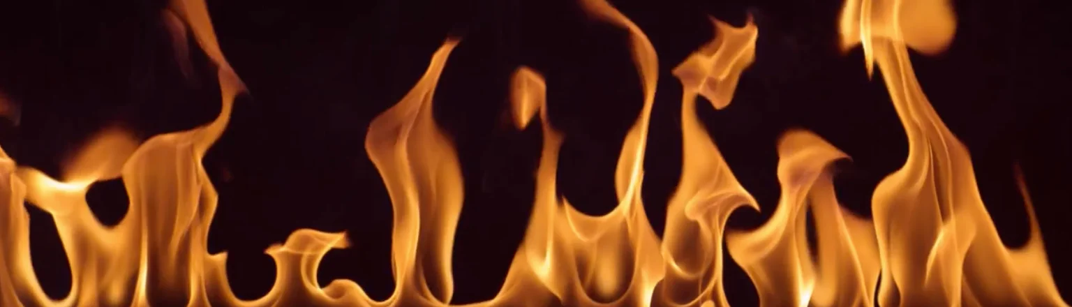 Banner image