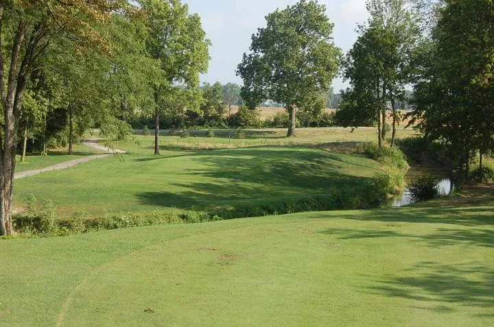 Lush green golf course landscape with trees and winding path