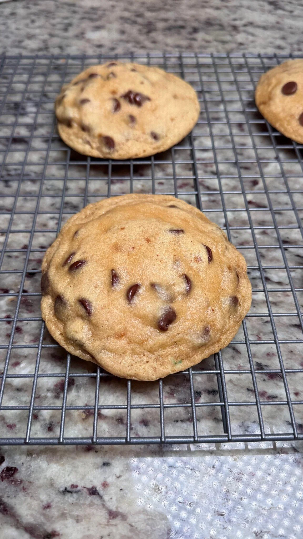 Chocolate Chip