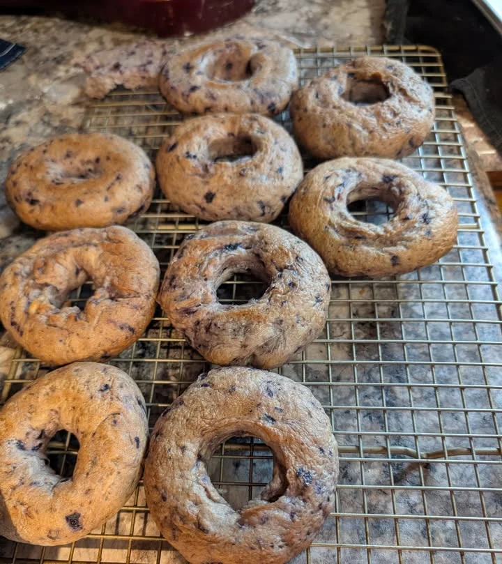 A batch of freshly baked donuts cooling on a wire rack. They have a light brown color with hints of purple, likely from added ingredients.
