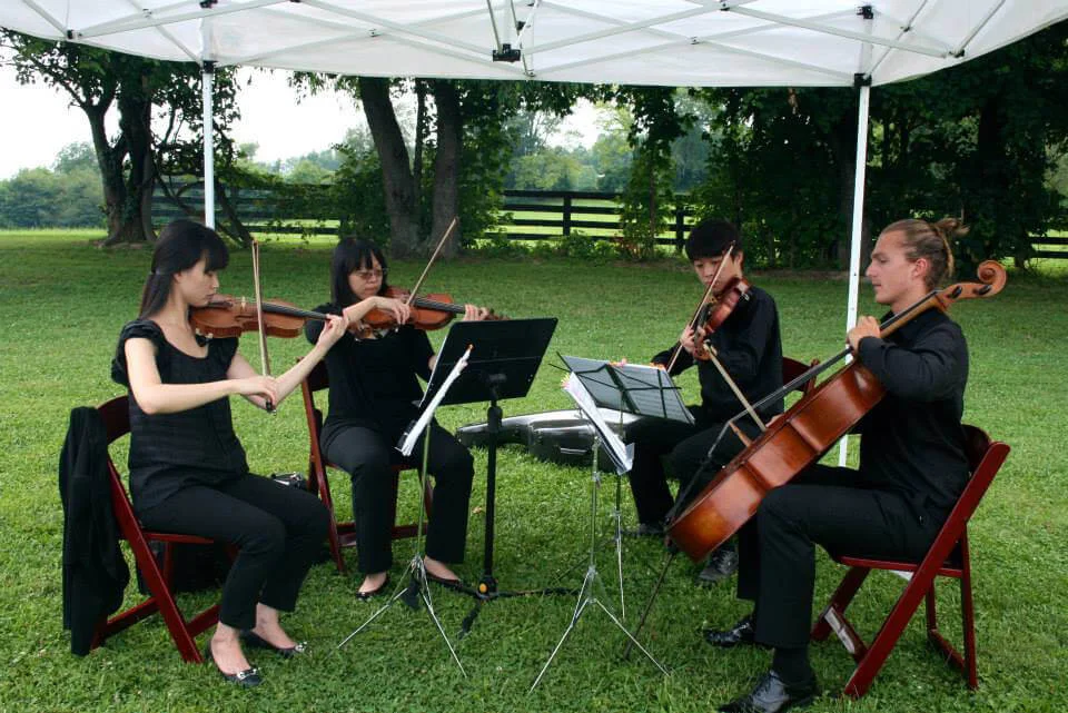 String quartet performing outdoors under a canopy