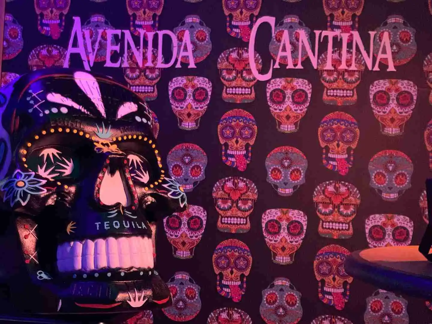 Welcome to Avenida Cantina