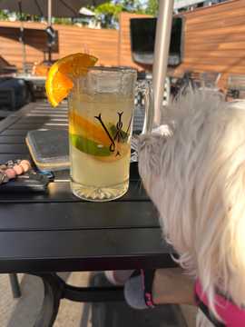 Photo from Gina C.'s review