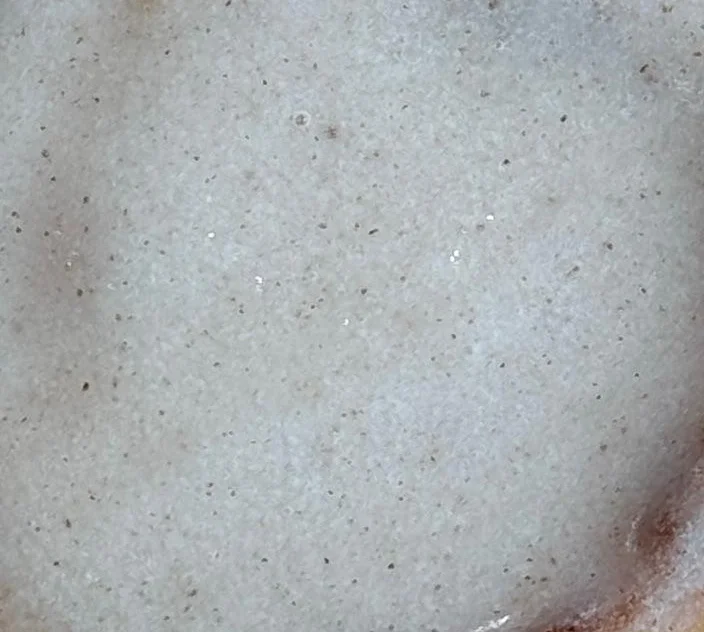 Sourdough Cinnamon Roll