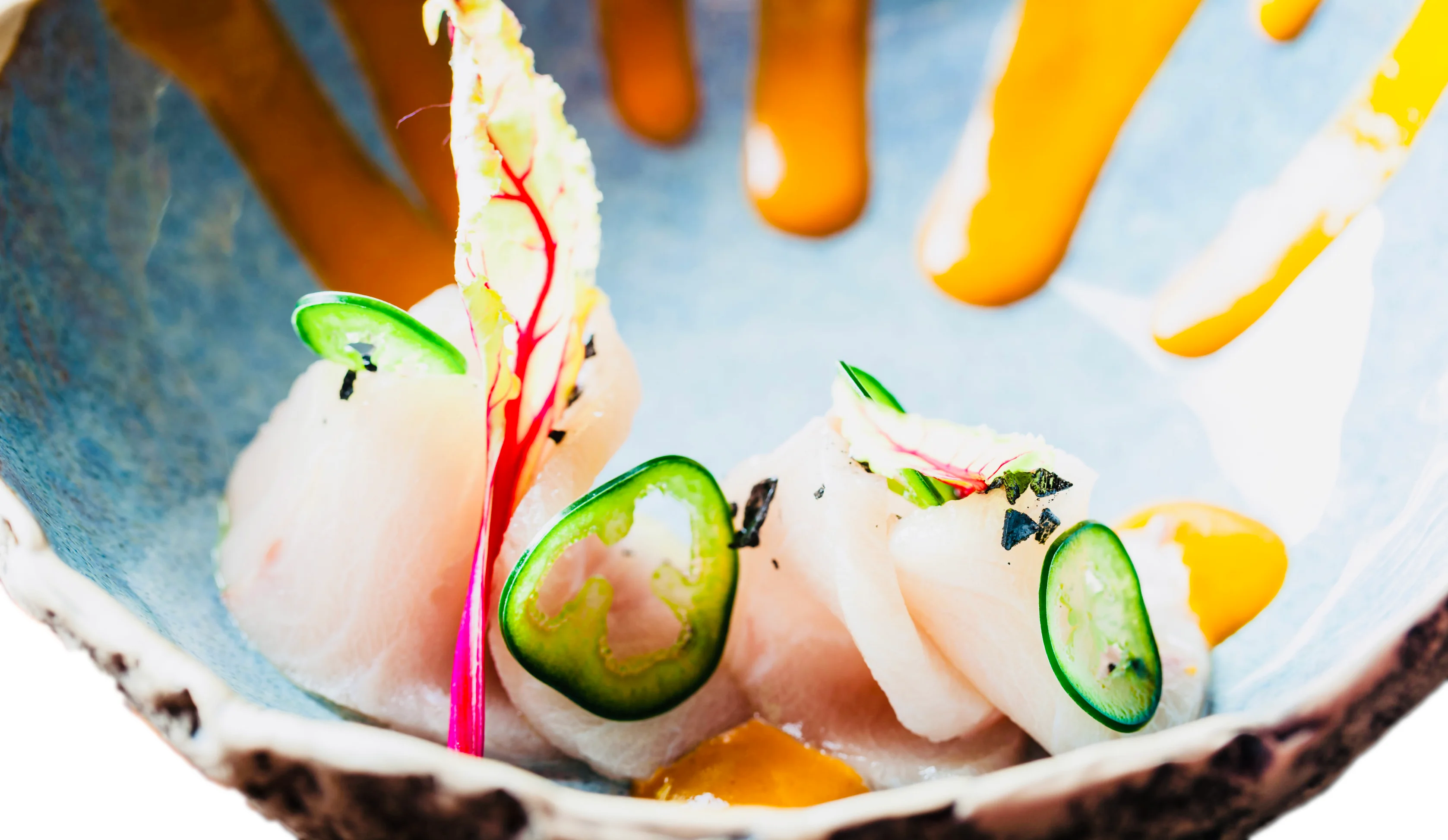 Japanese sashimi with vibrant garnishes