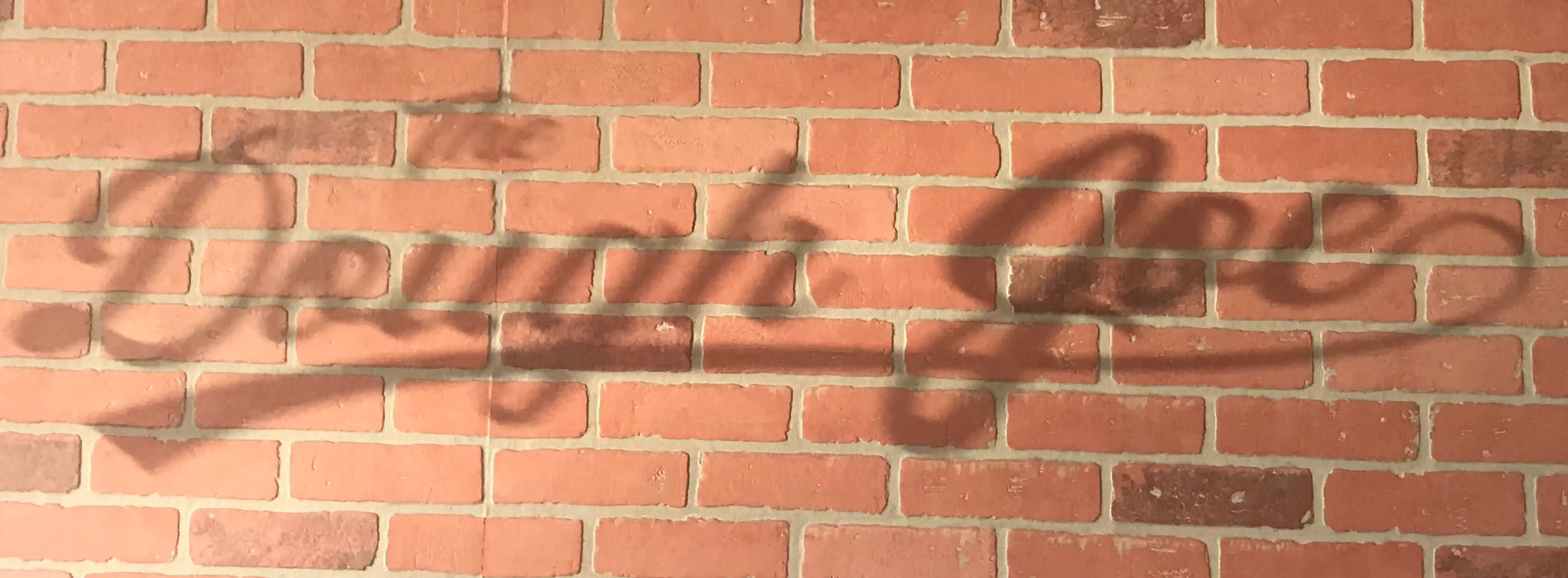 Banner image