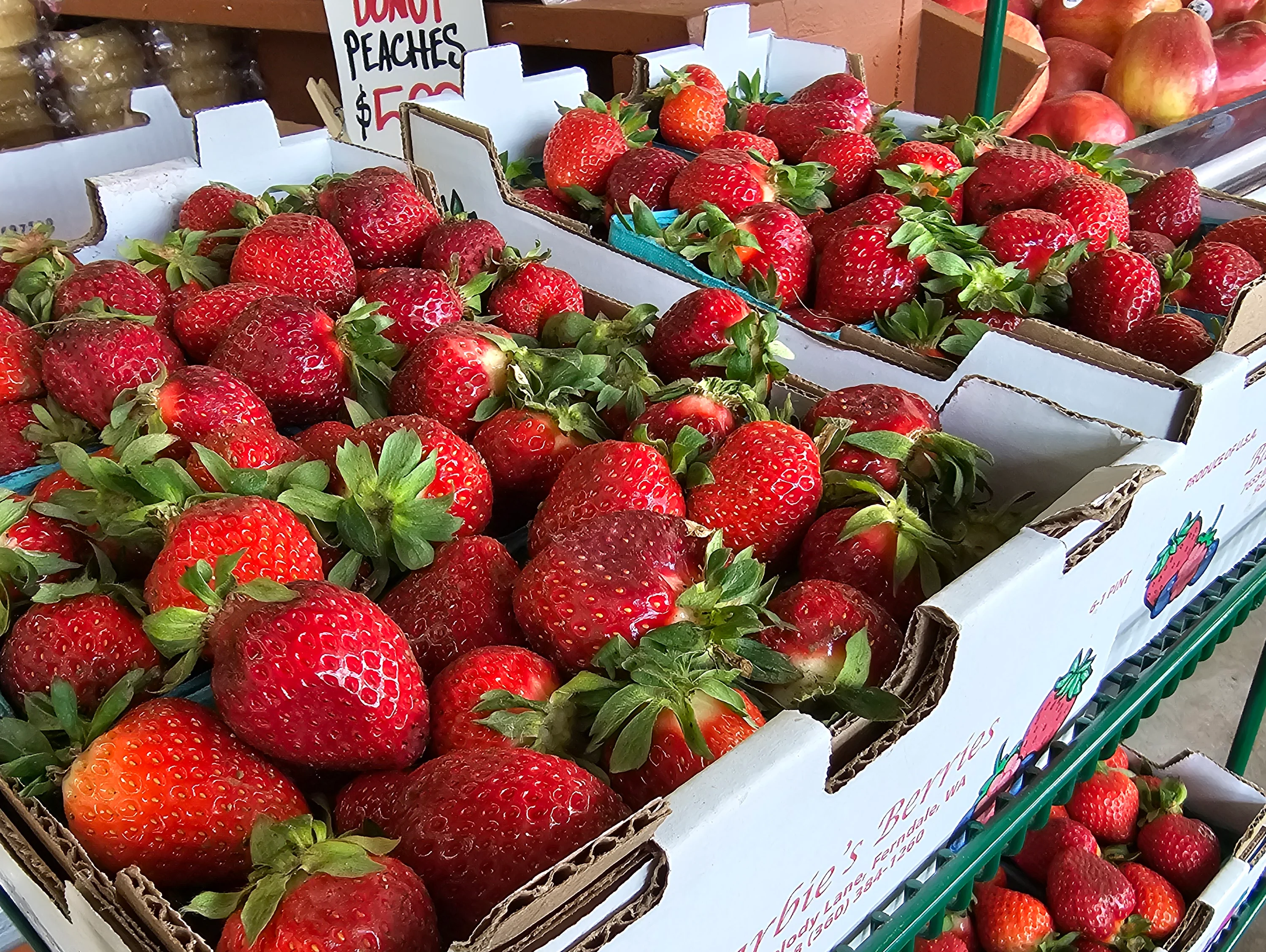A vibrant market display featuring a variety of fresh fruits and vegetables, including apples, oranges, and greens, neatly organized on wooden tables.