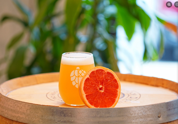 Sapwood Cellars Apr 2026 IPA Packs Test