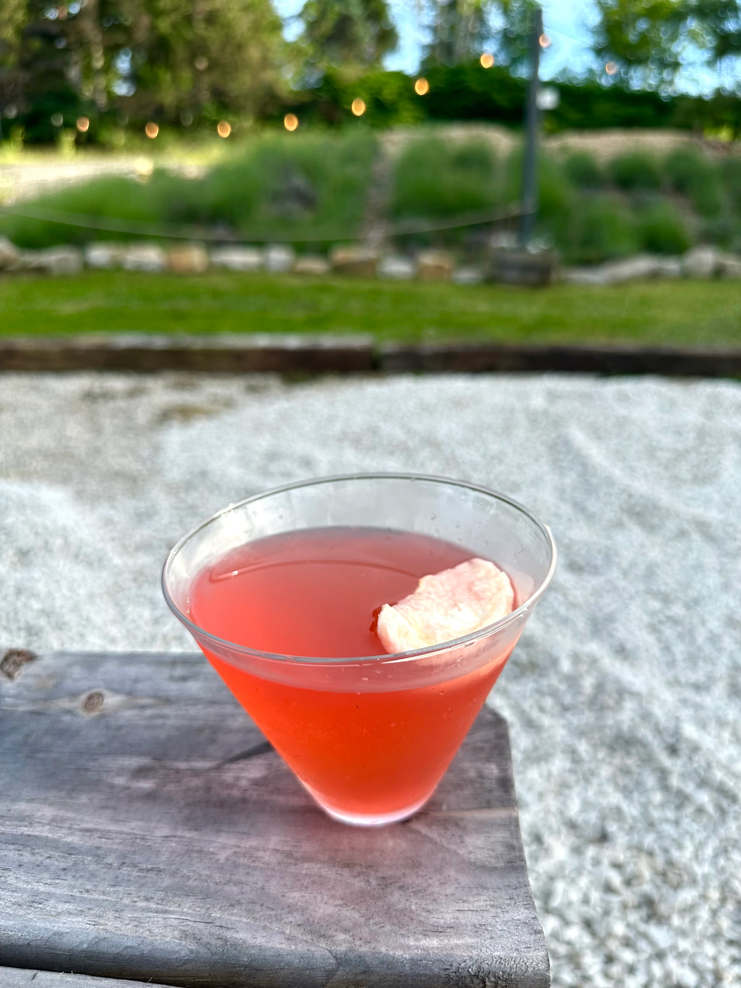 A fruity cocktail served in a clear glass, garnished with a slice of fruit, set against a lush green outdoor backdrop.