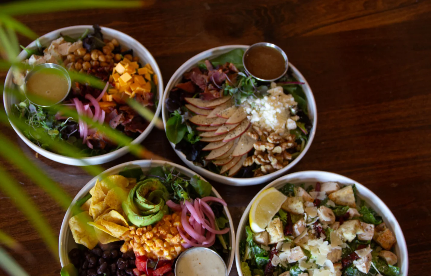 Colorful salad bowls featuring fresh greens and toppings