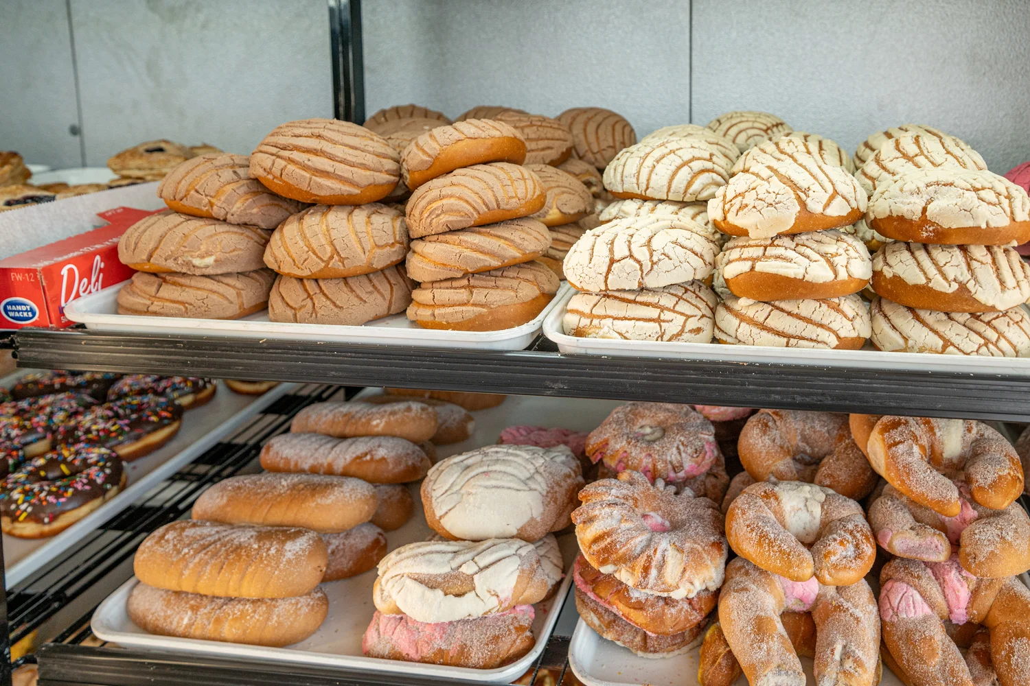 Assorted Mexican conchas in a bakery display