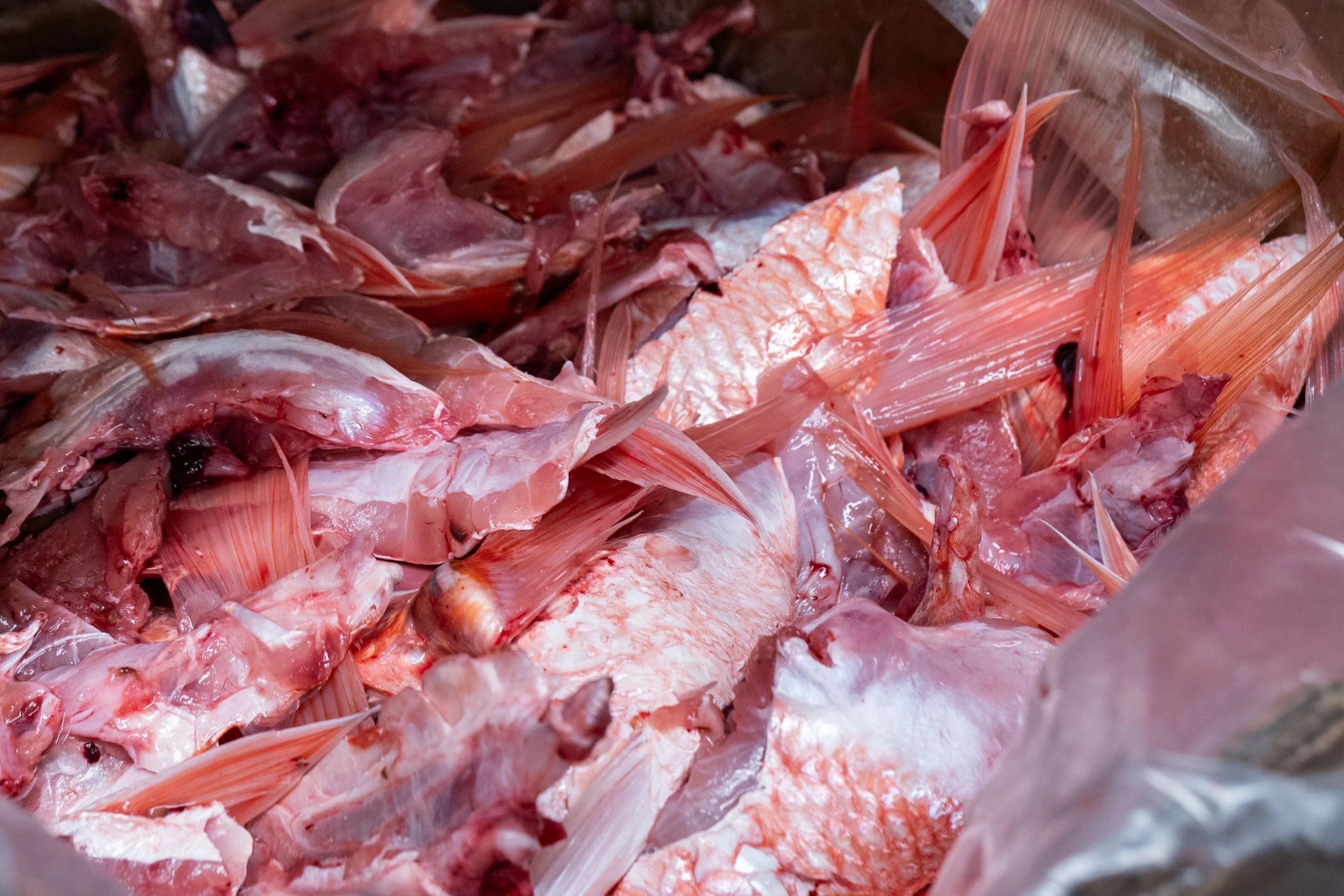 Cold Boiled Shrimp