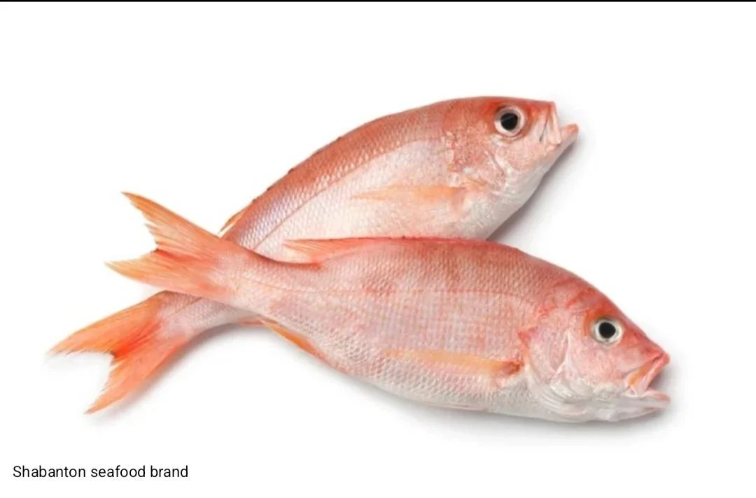 Snapper 2-3 22lb/1