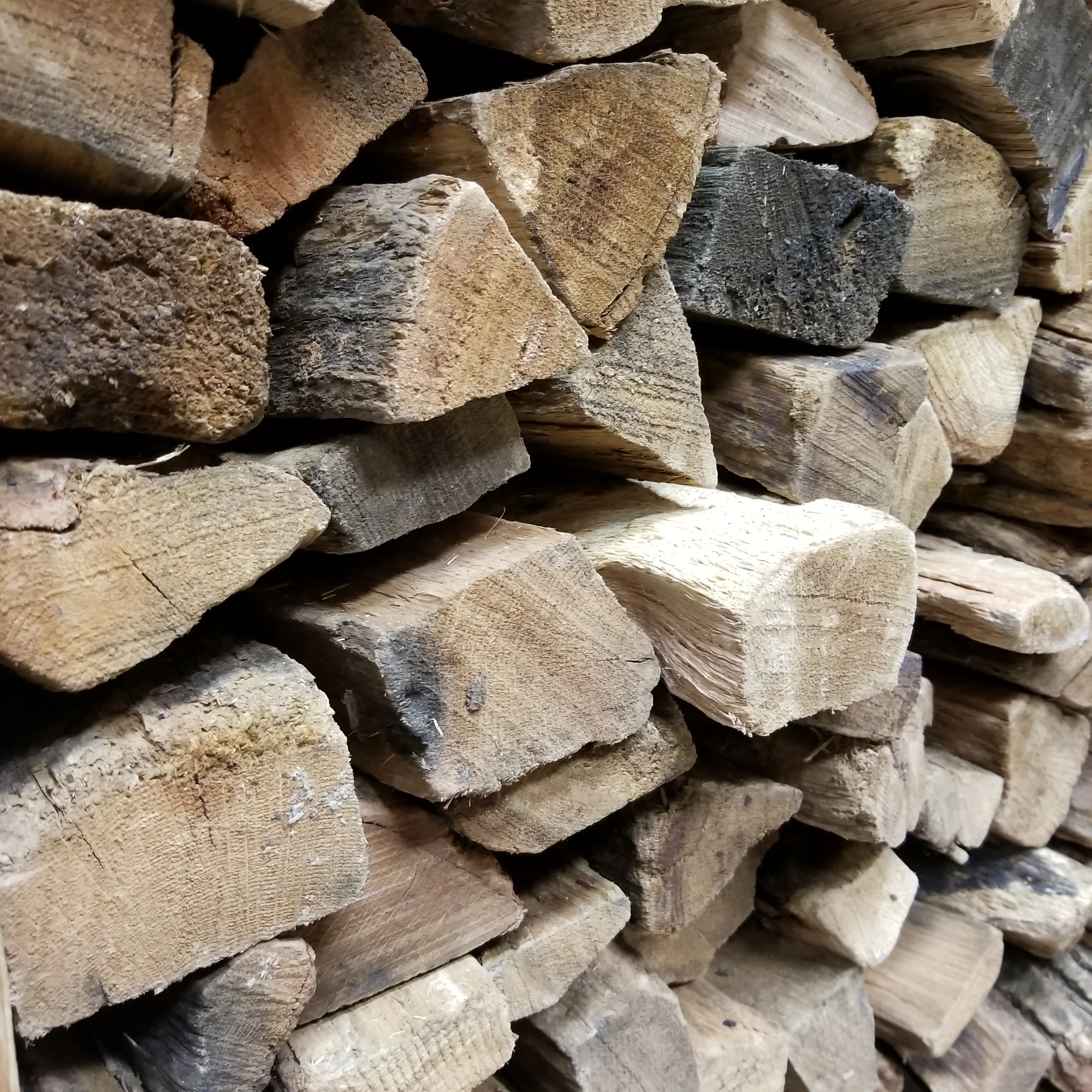 Several pieces of chopped wood