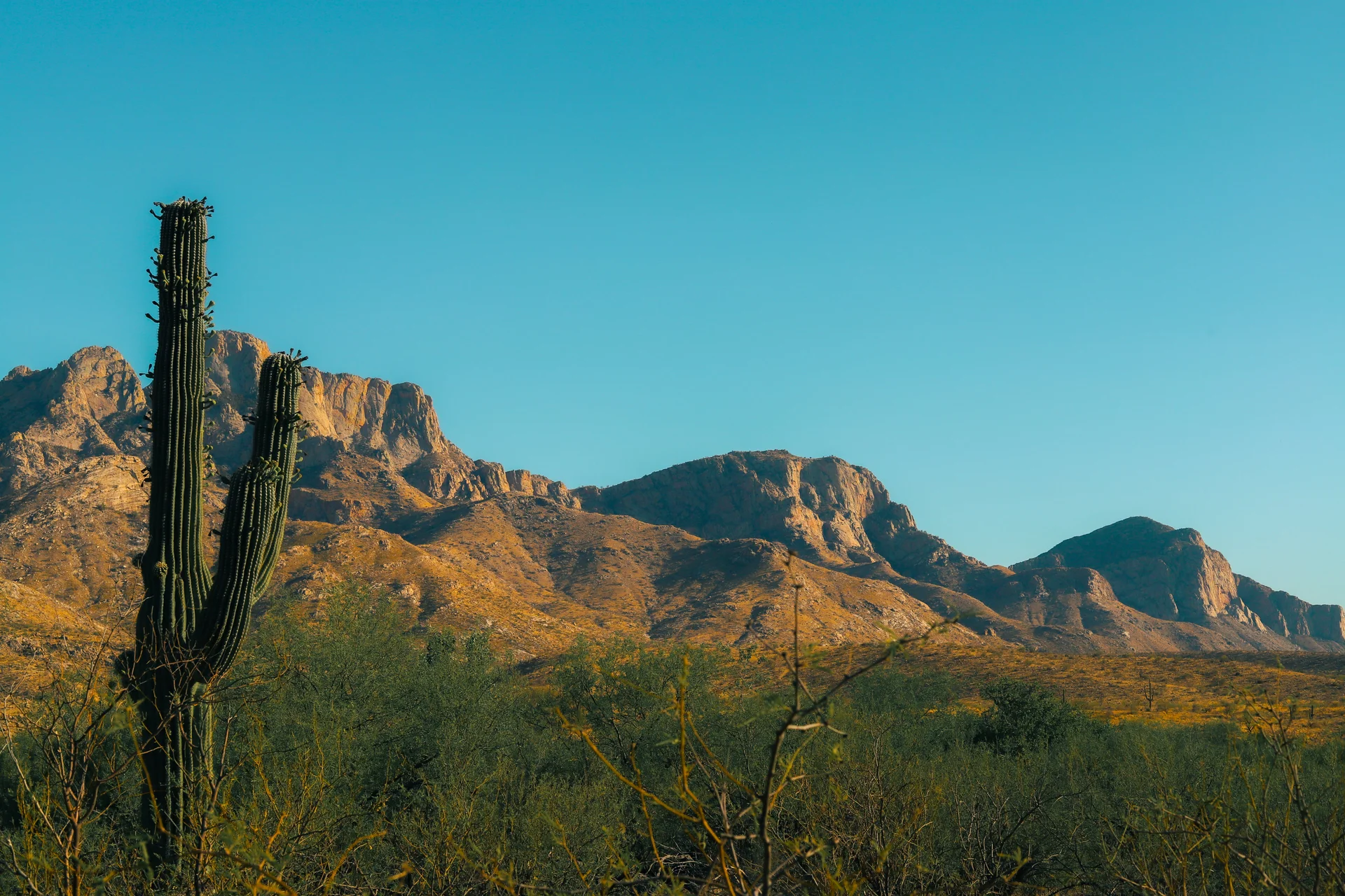 Desert Drifters Coffee