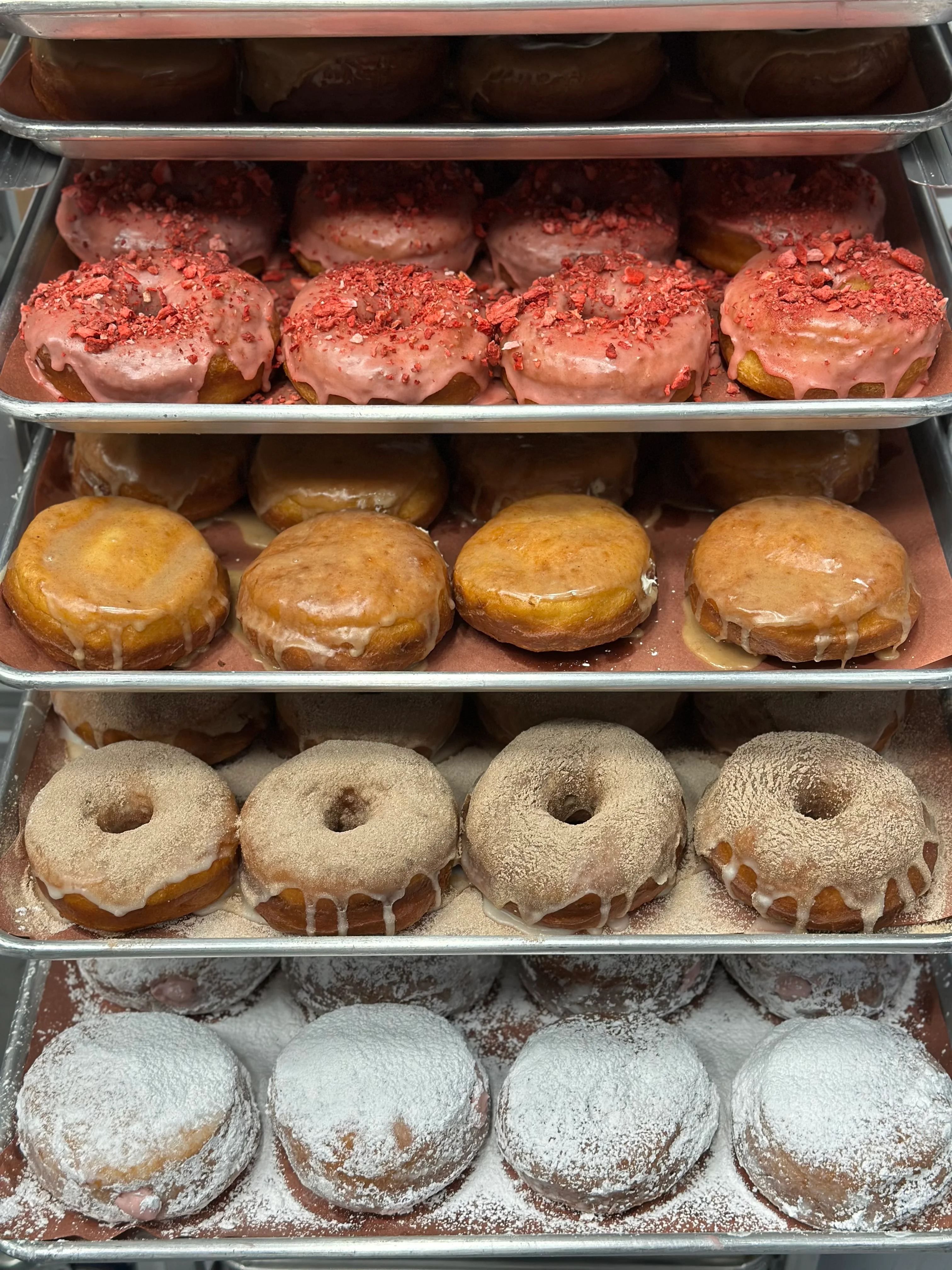 Assorted gourmet donuts on display