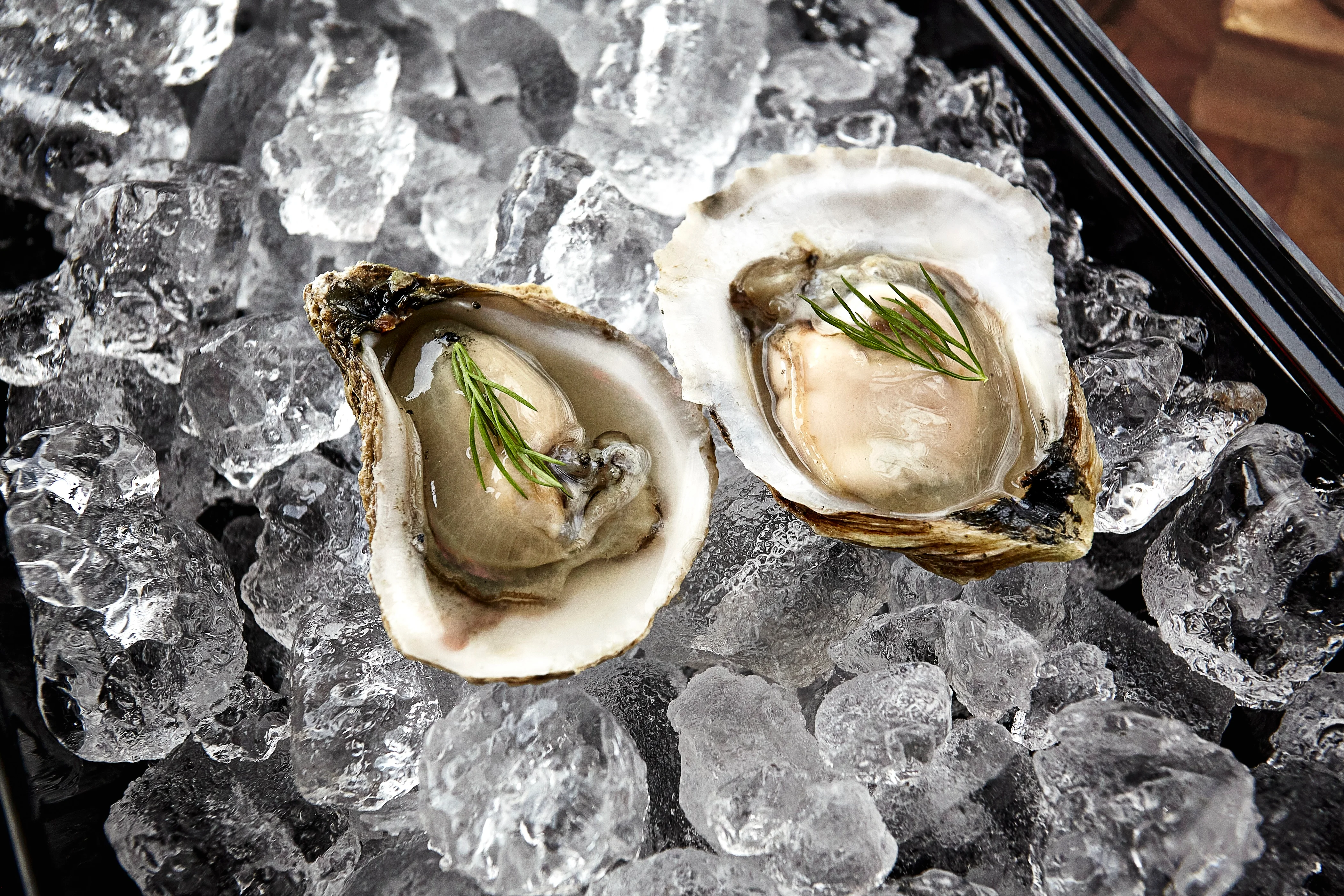 Freshly shucked oysters on ice