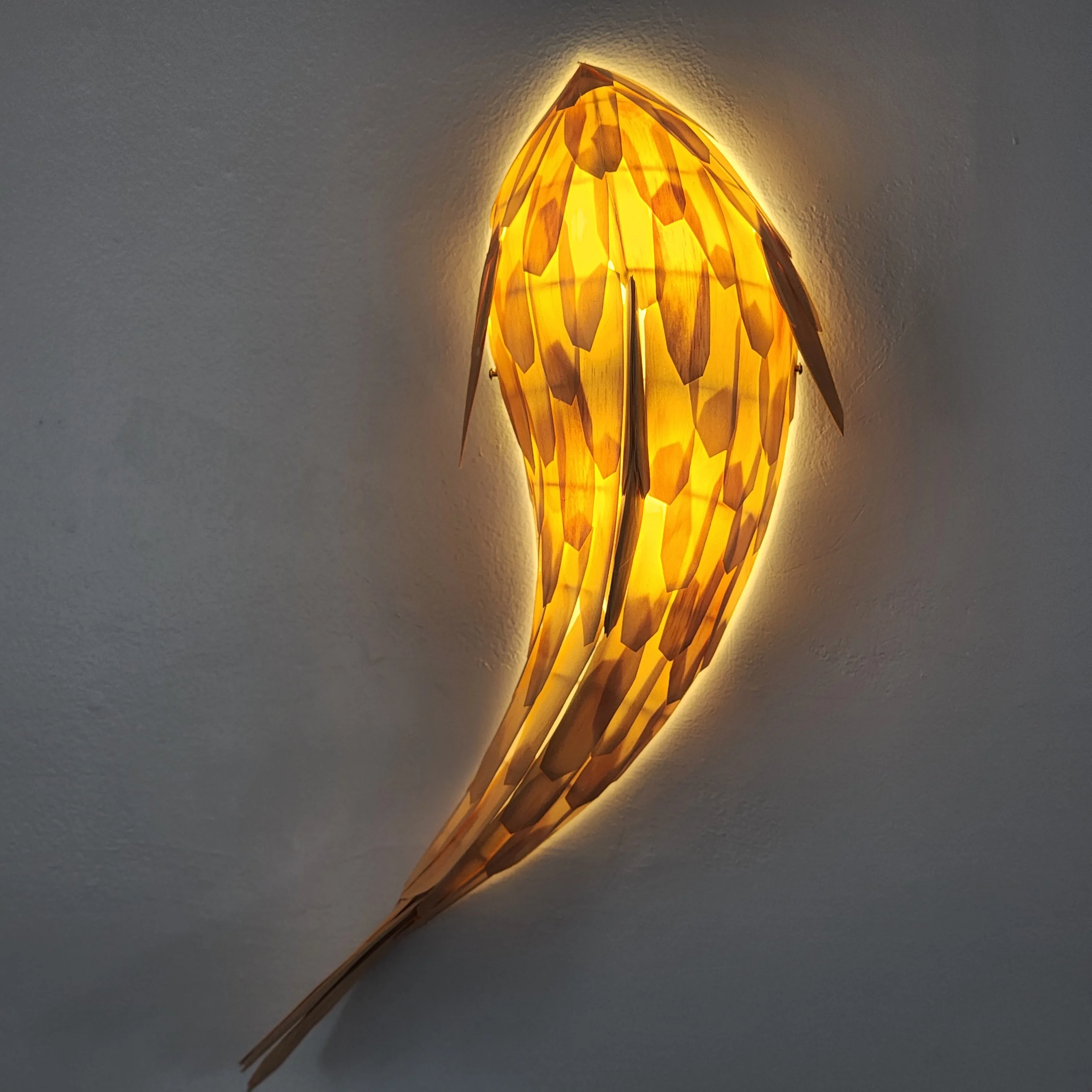 Fish Light