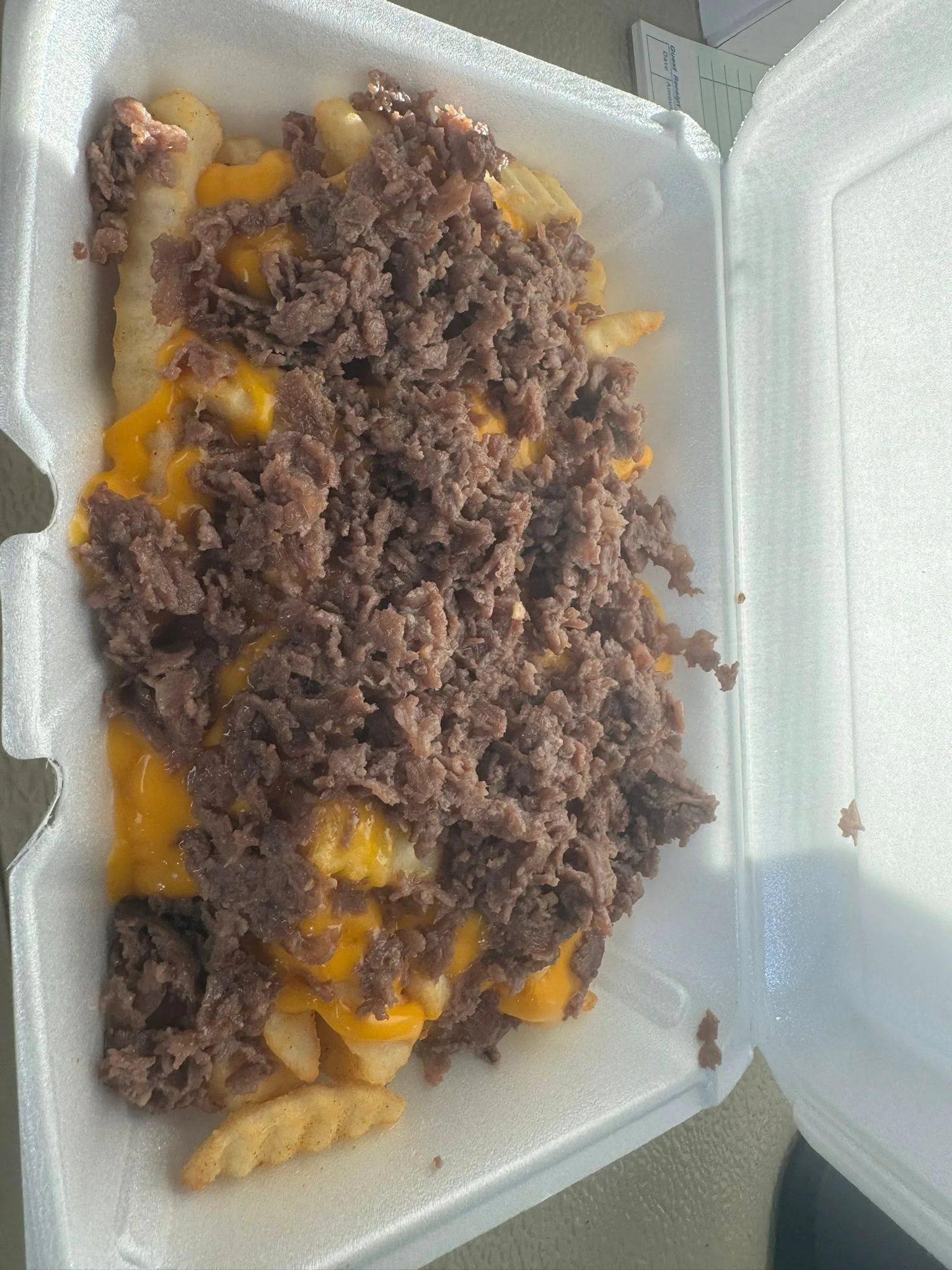 Delicious loaded fries topped with cheese and toppings