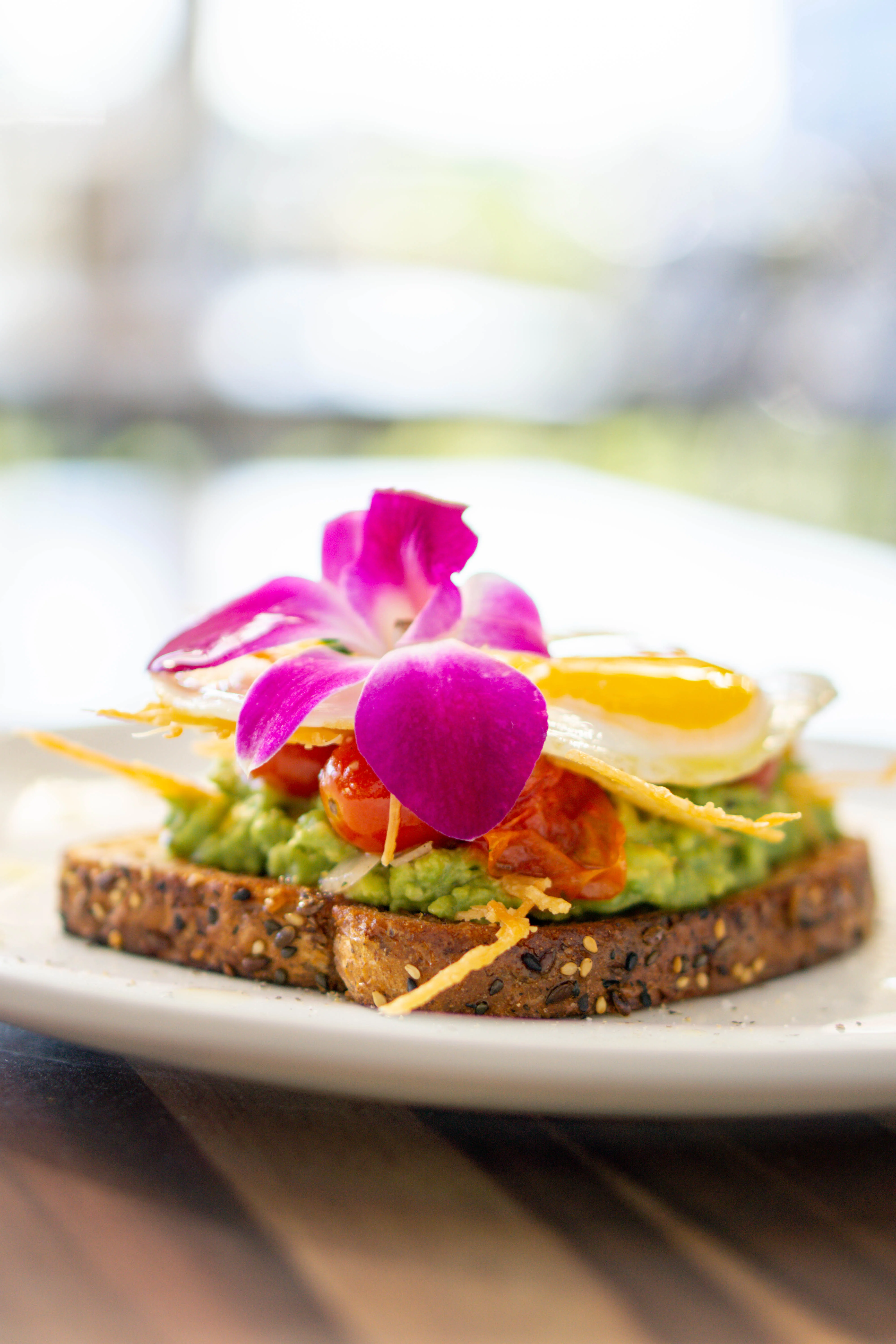 Brunch Truffle Avocado Toast