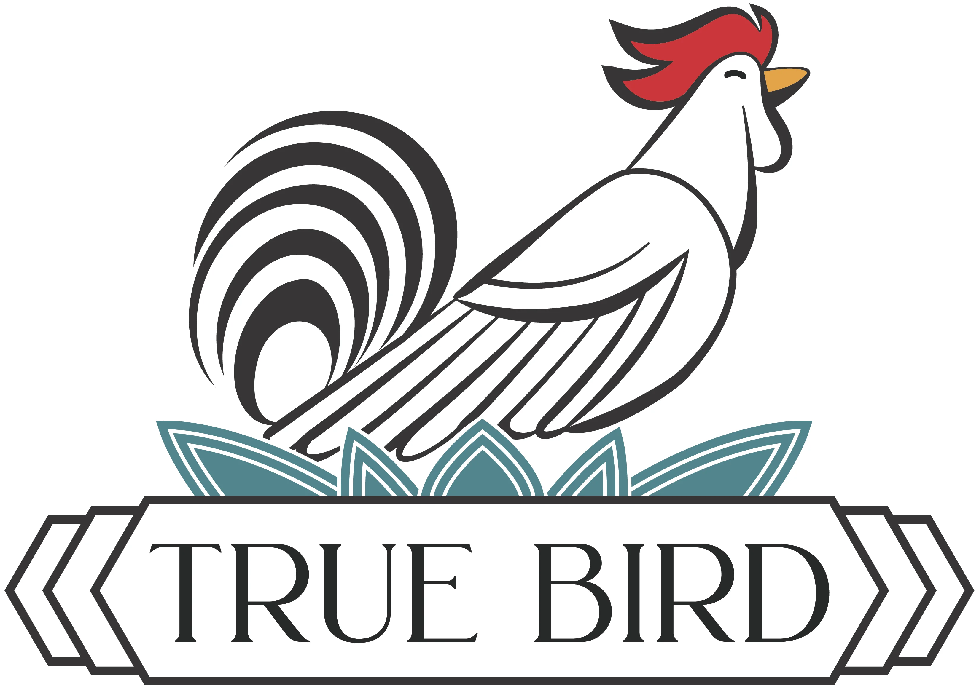 Logo of True Bird featuring a stylized rooster