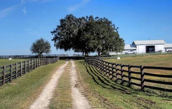 Scenic dirt road leading to a farm with oak trees and a barn