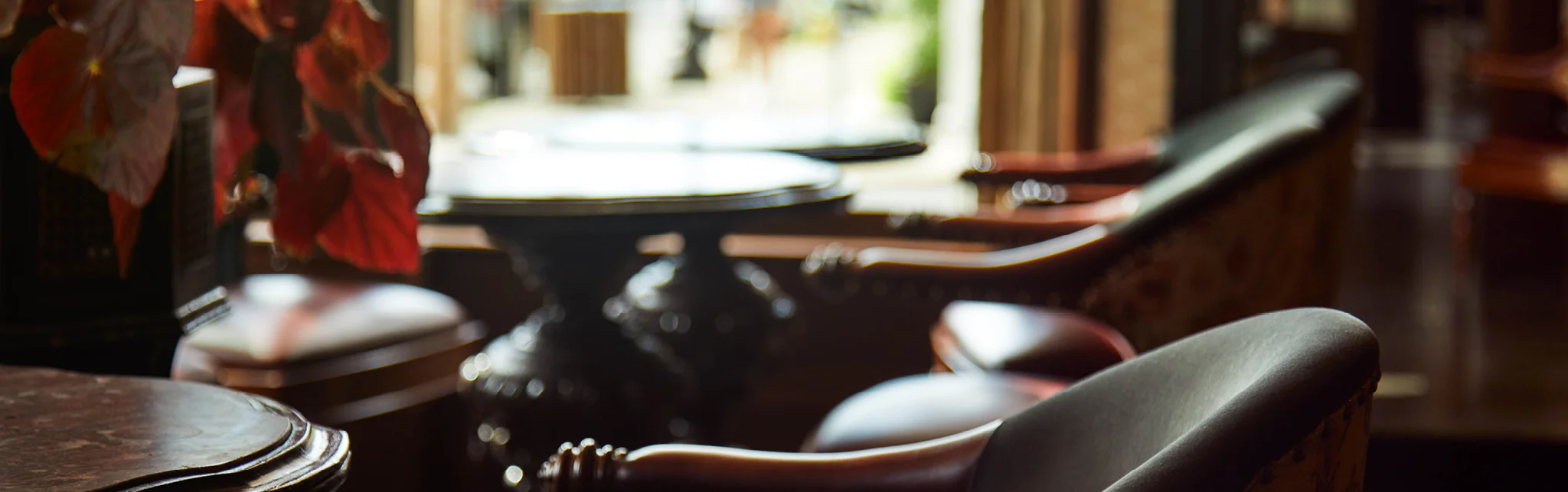 Banner image